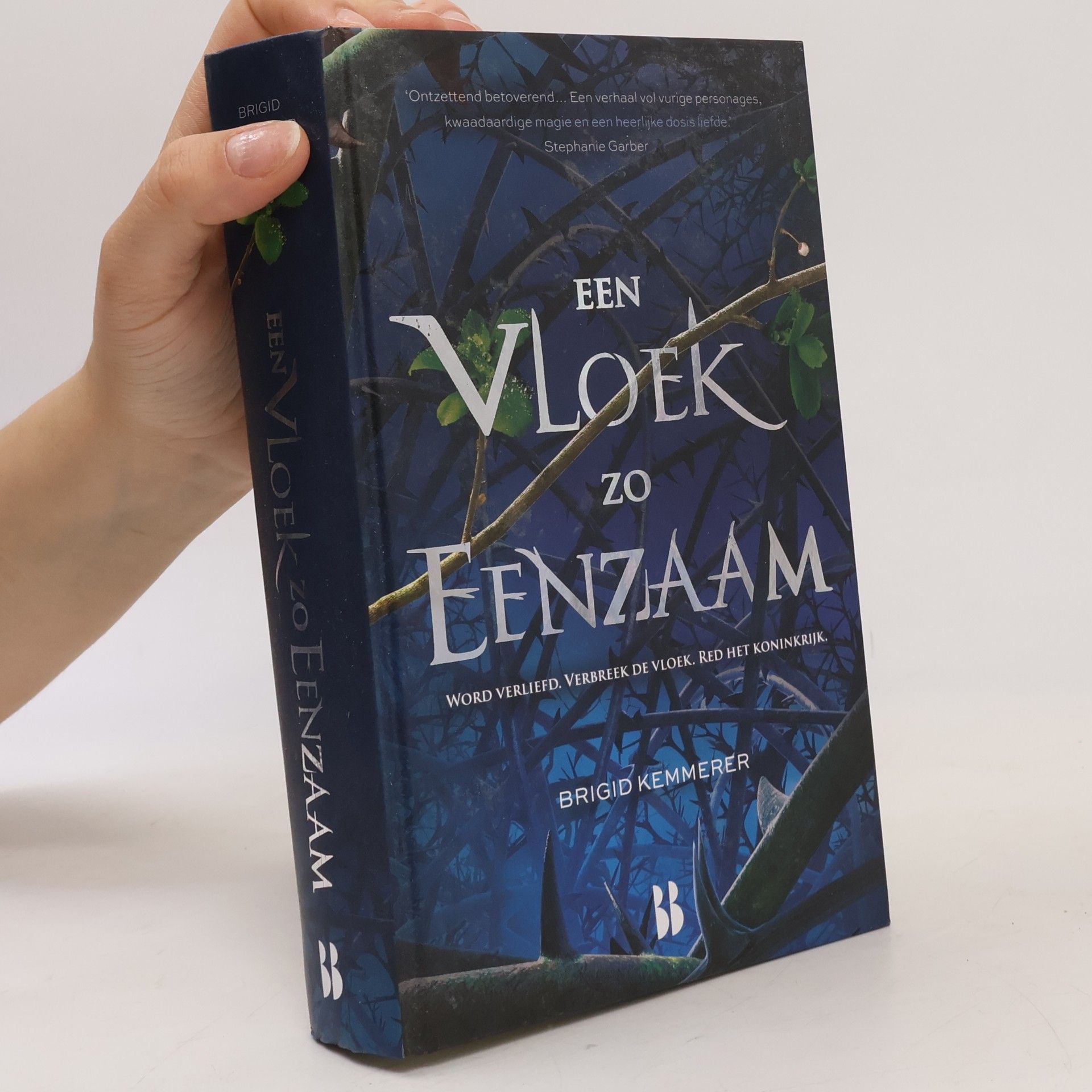 Merel Leene Een vloek zo eenzaam