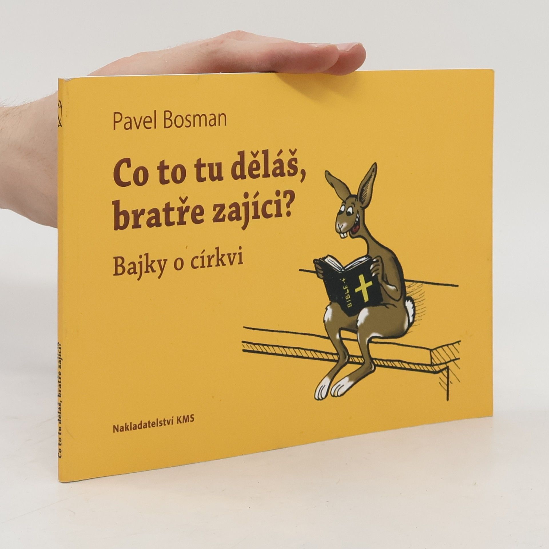 Co to tu děláš, bratře zajíci? Bajky o církvi