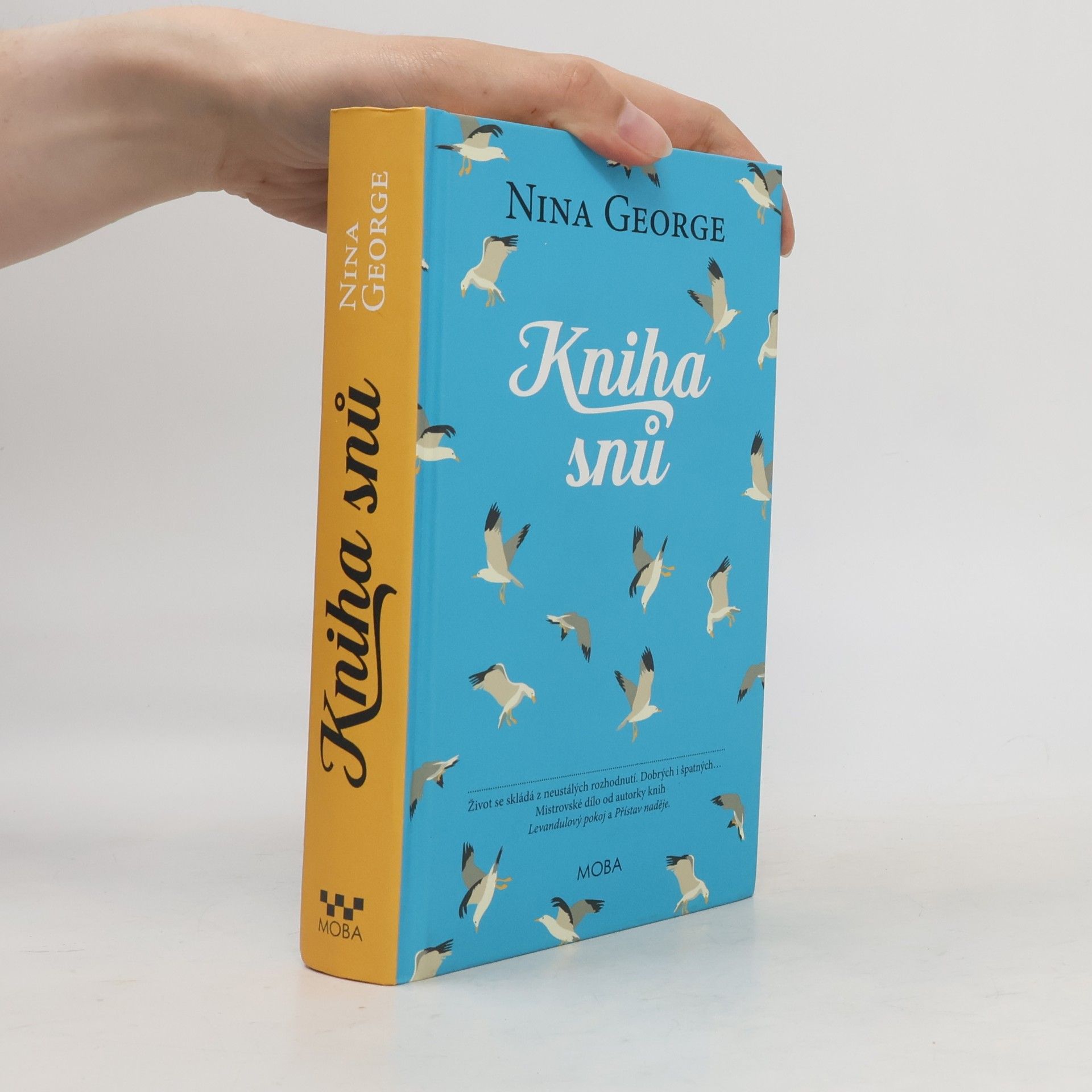 Nina George Kniha snů