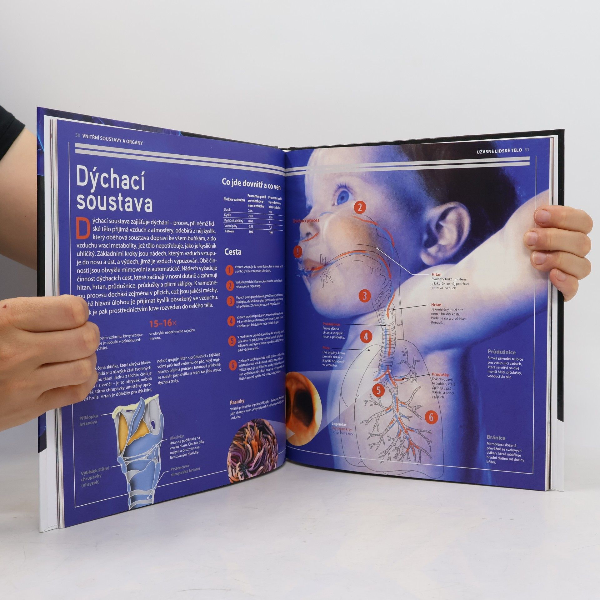 Collectif d'auteurs Úžasné lidské tělo - Jak to funguje?