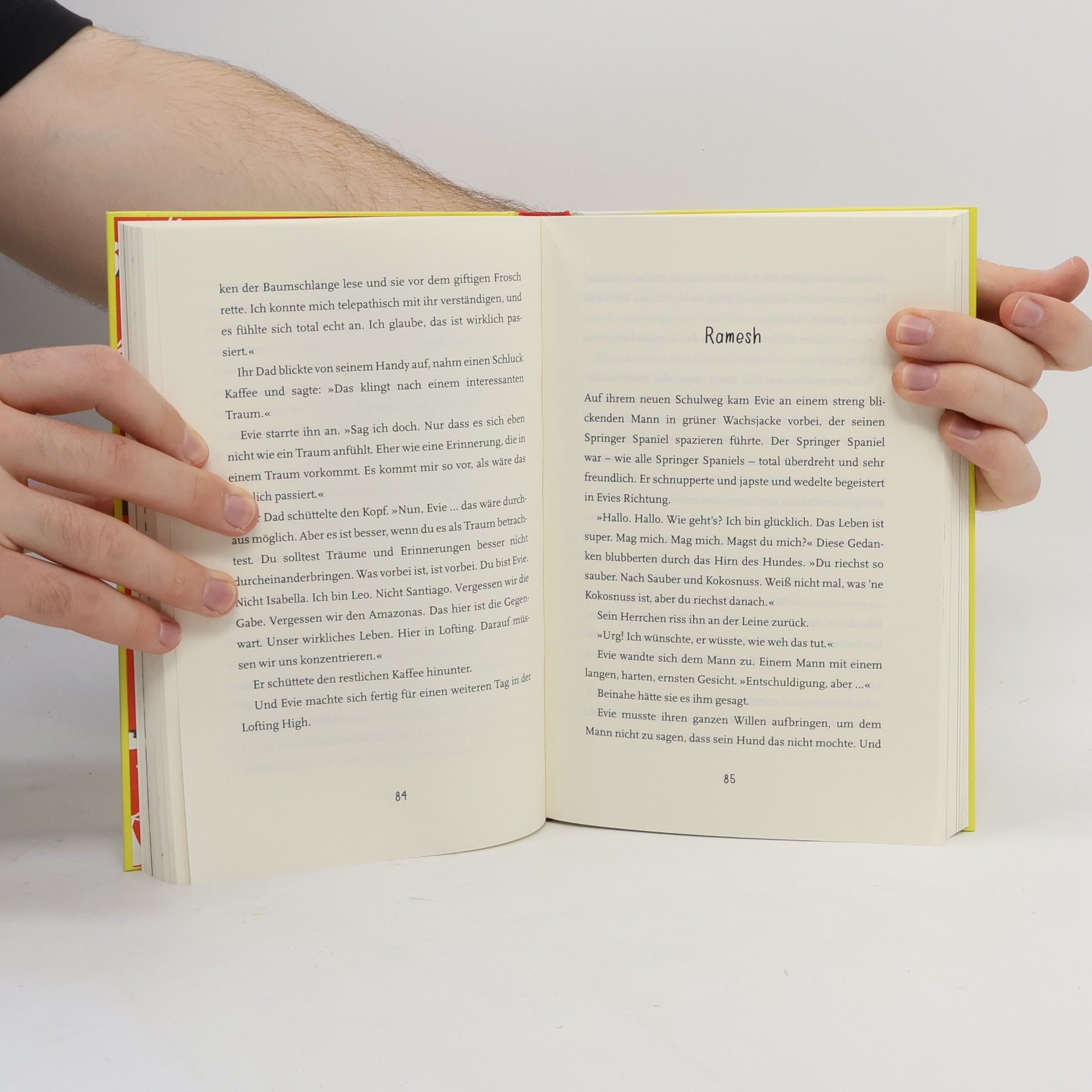 Matt Haig Evie und die Macht der Tiere