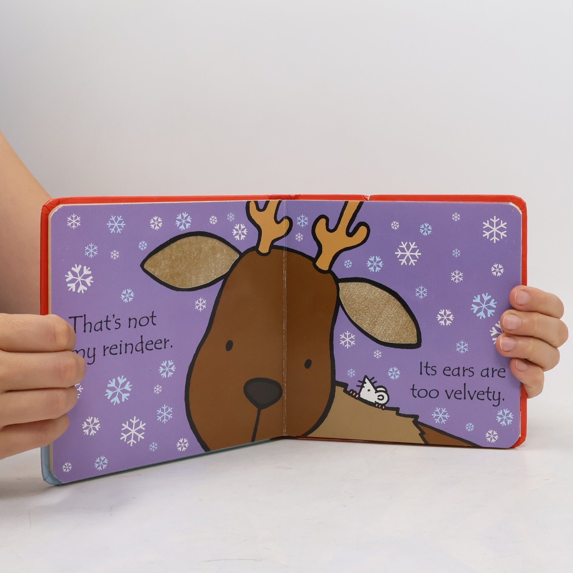 Rachel Wells That's Not My Reindeer