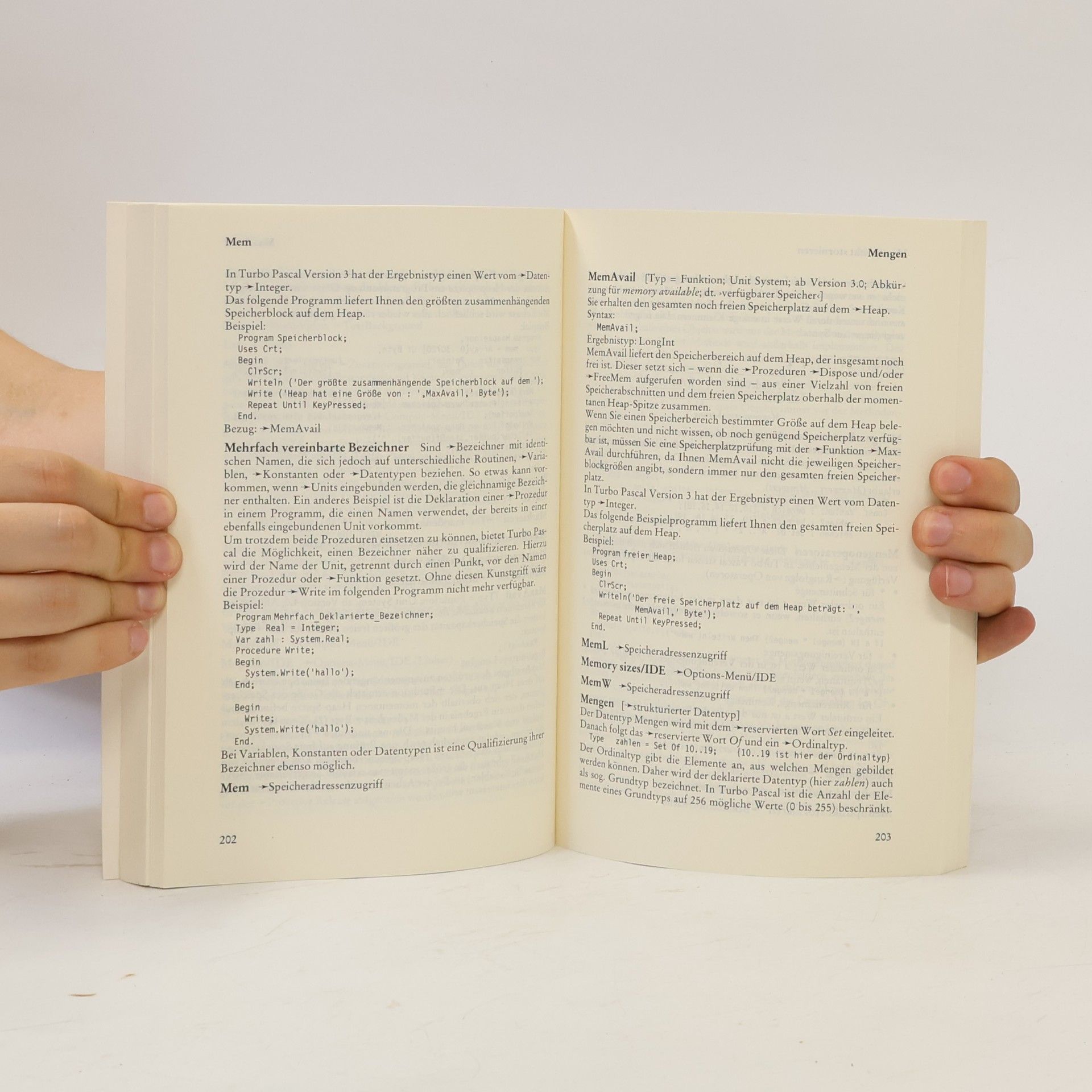 Michael Kneißl dtv Beck EDV-Berater: Turbo Pascal