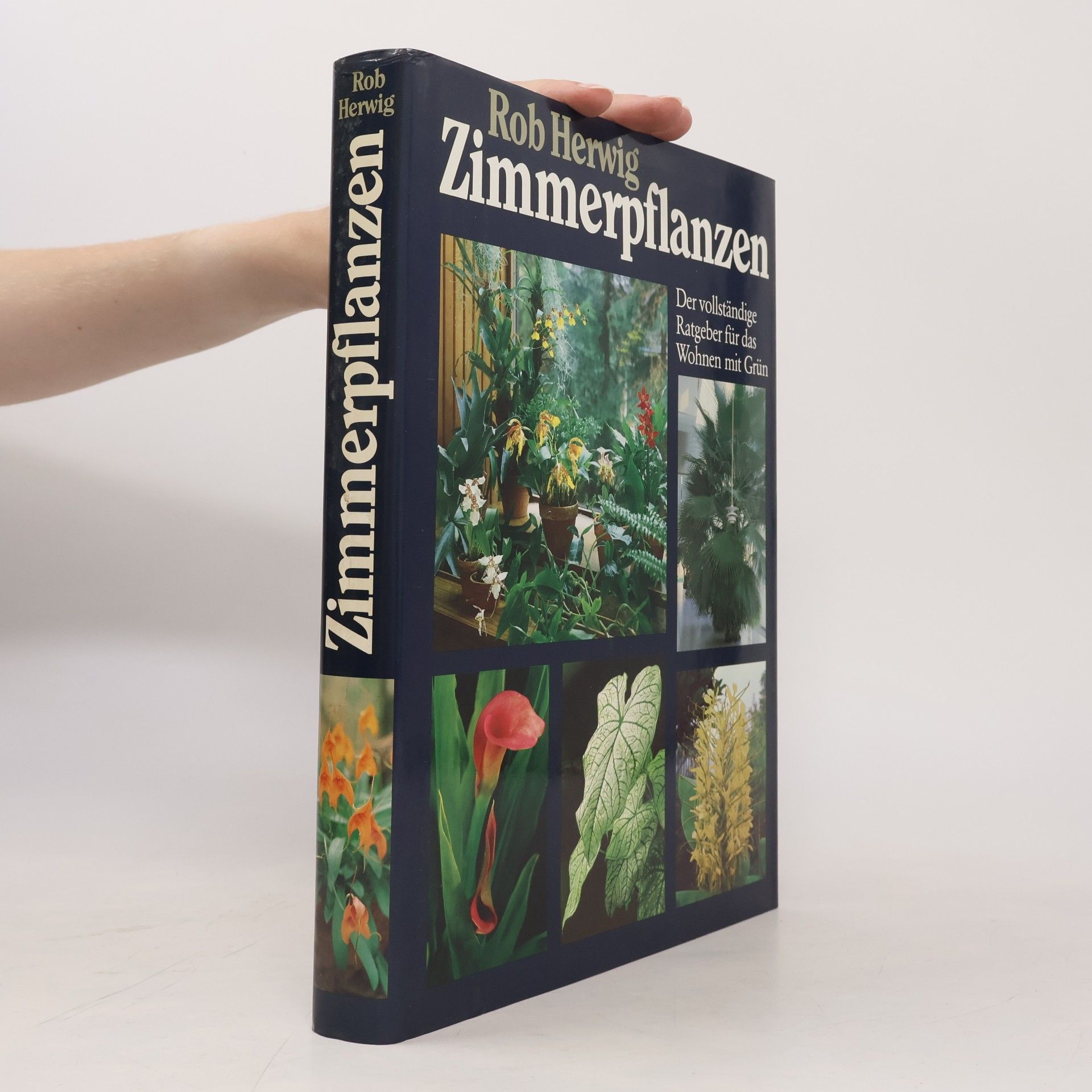 Rob Hewig Zimmerpflanzen