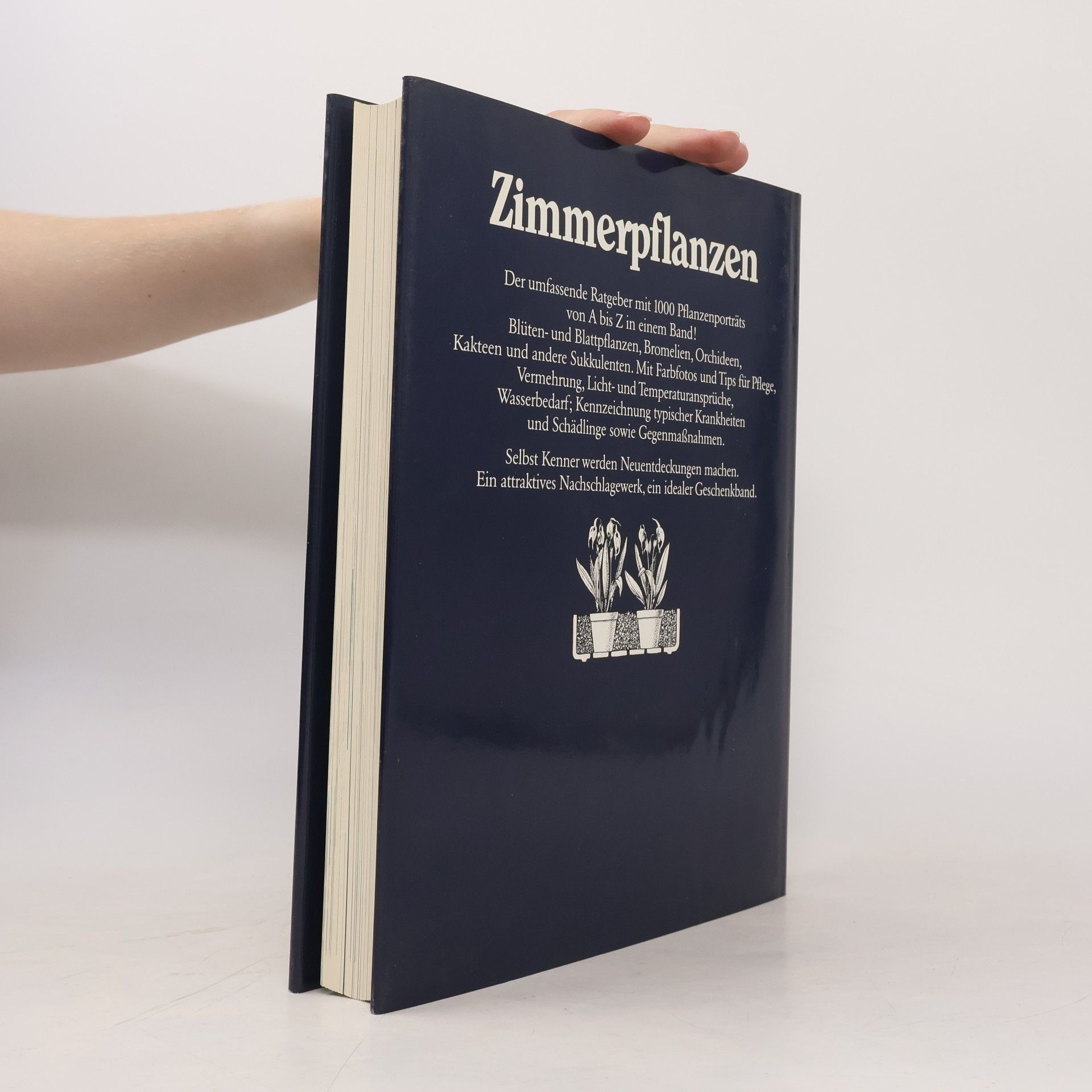 Rob Herwig Zimmerpflanzen