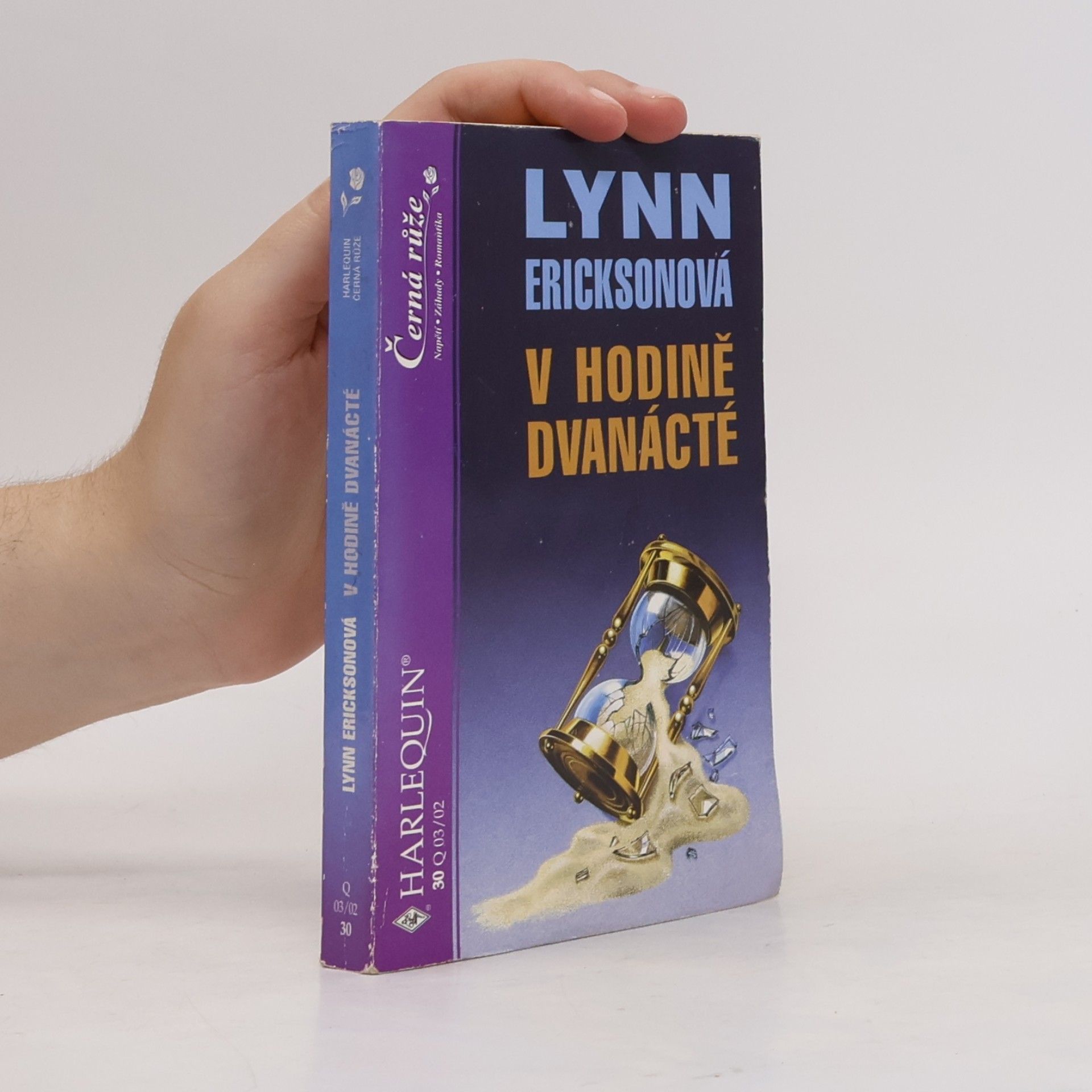 Lynn Erickson V hodině dvanácté