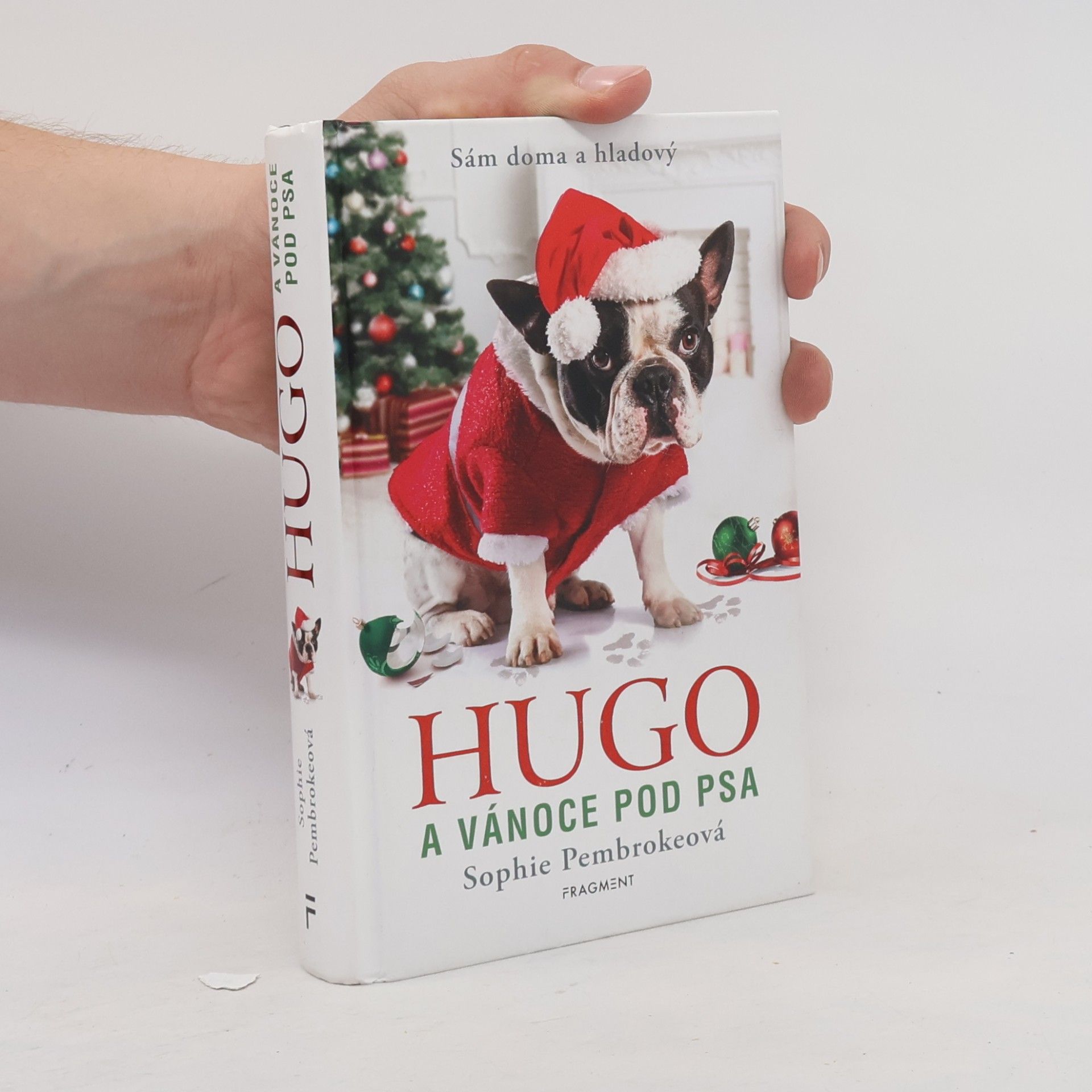 Sophie Pembroke Hugo a Vánoce pod psa