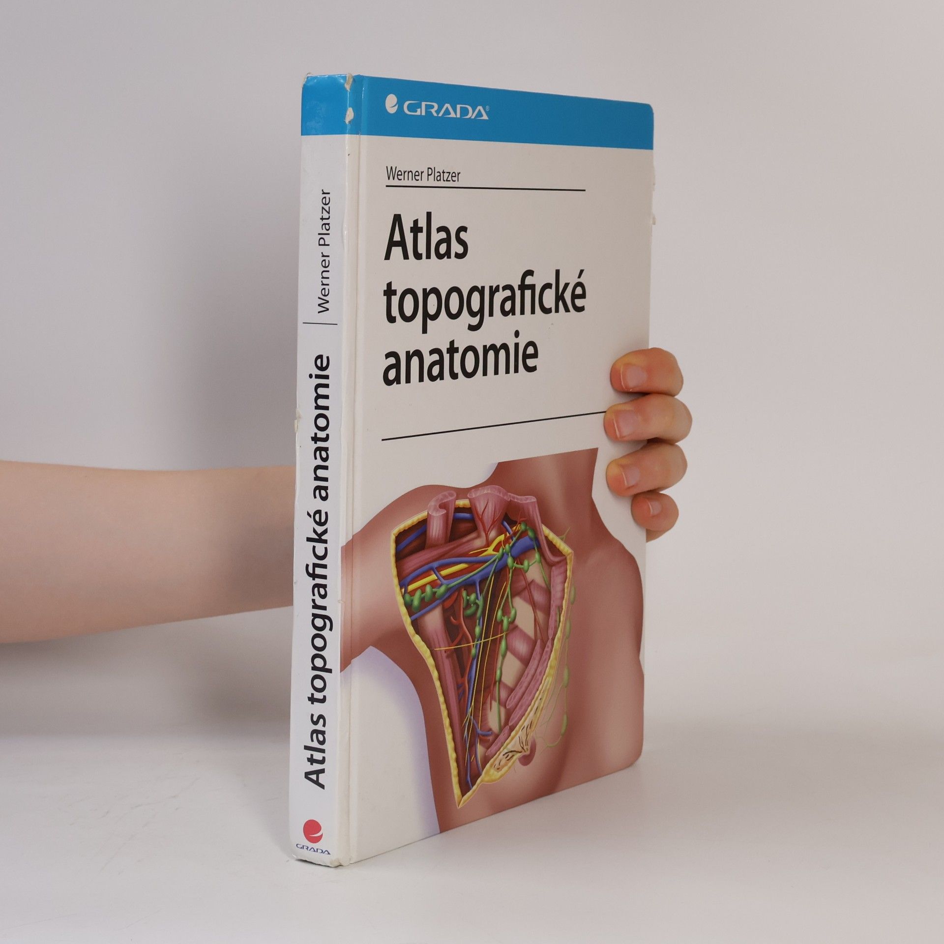 Werner Platzer Platzer Atlas topografické anatomie