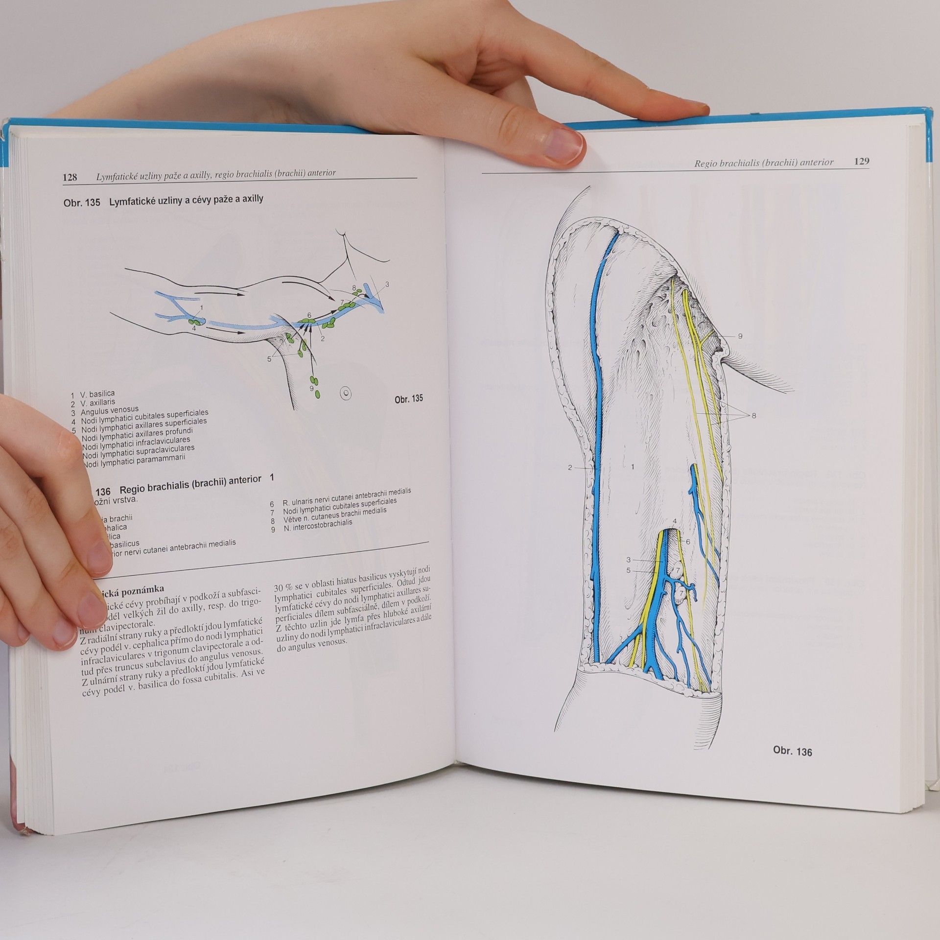 Werner Platzer Platzer Atlas topografické anatomie