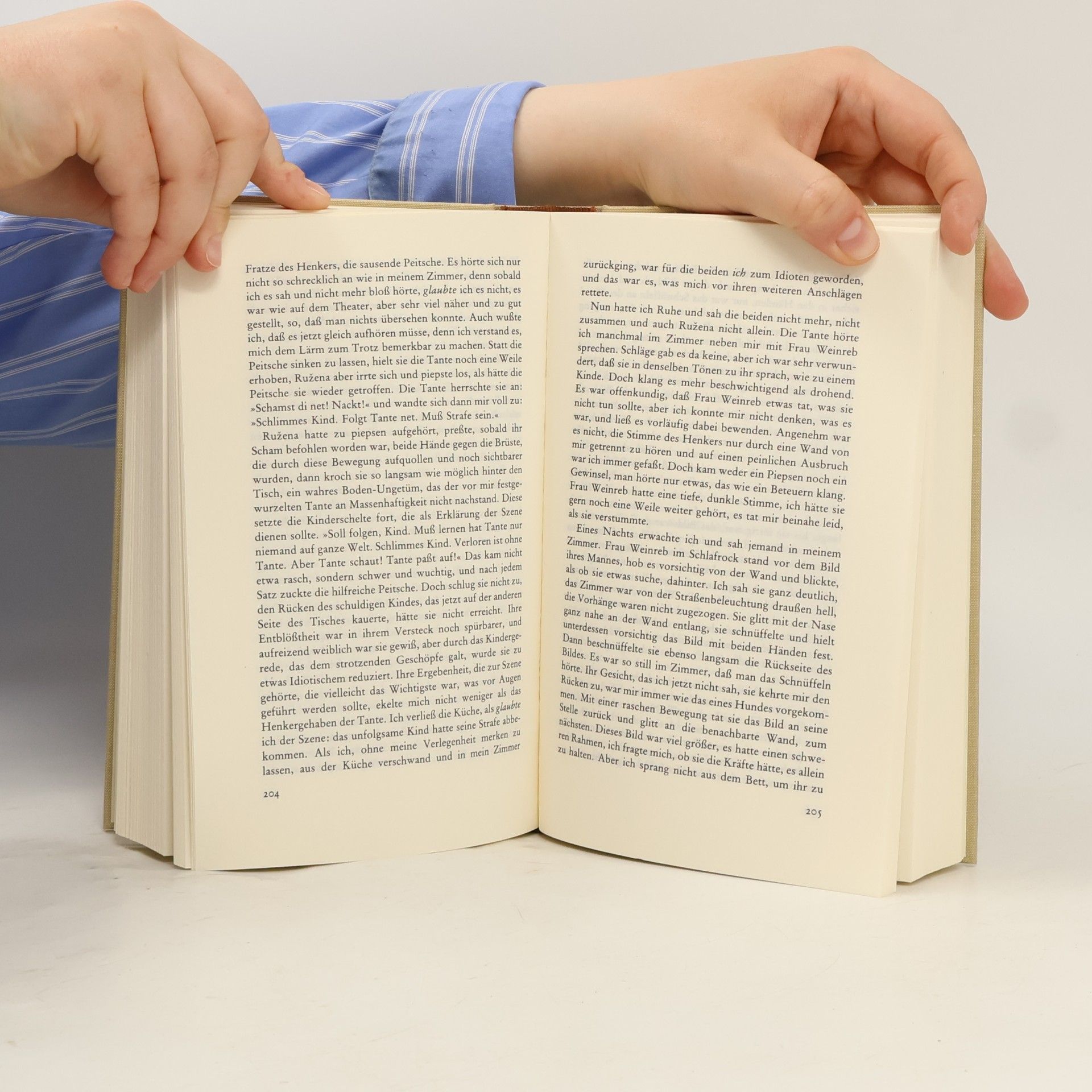 Elias Canetti Die Fackel im Ohr