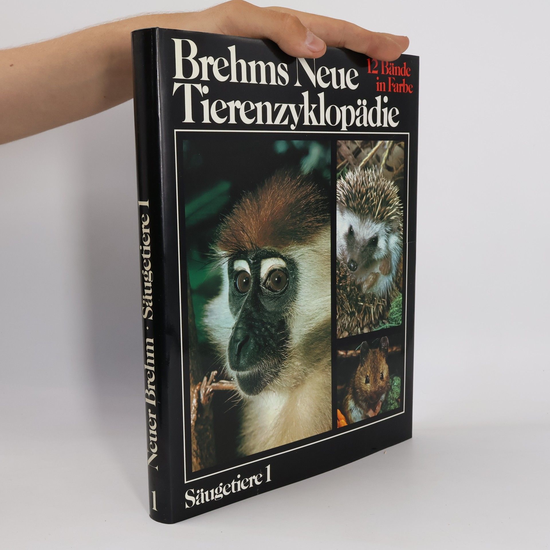 Collectif d'auteurs Brehms neue Tierenzyklopädie: Säugetiere