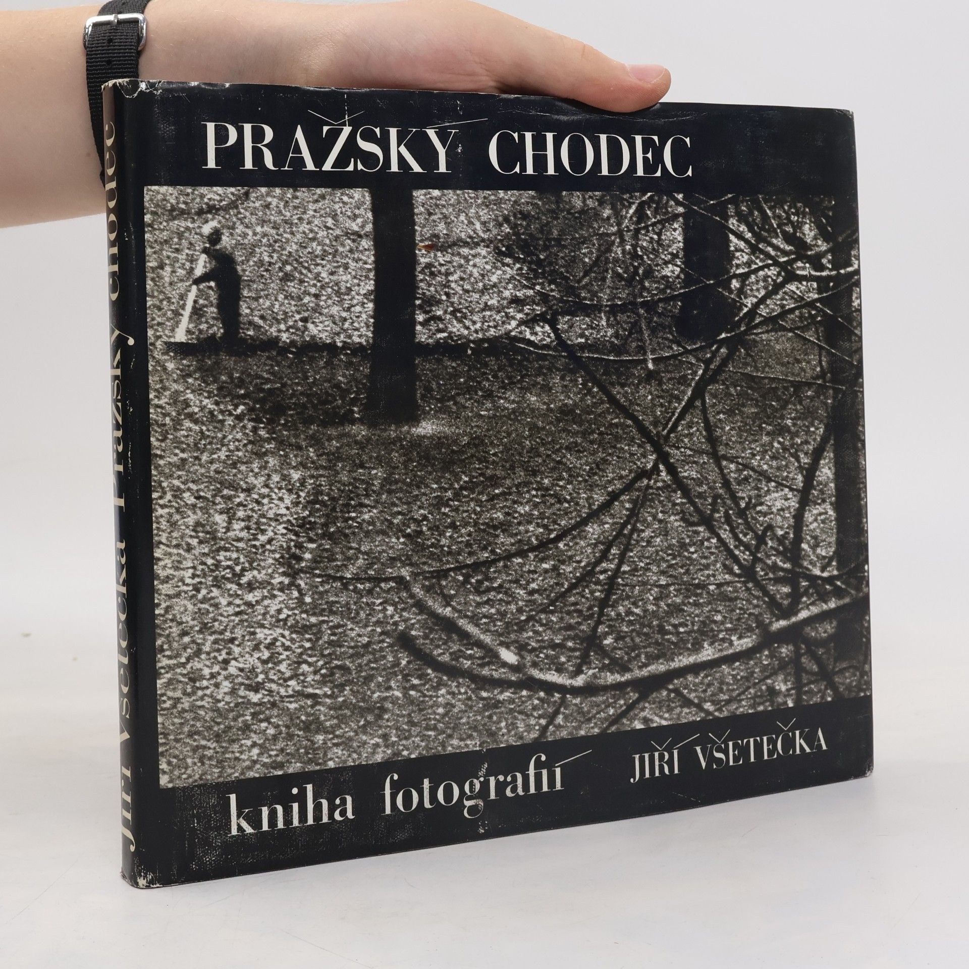 Jiri Vsetecka Pražský chodec