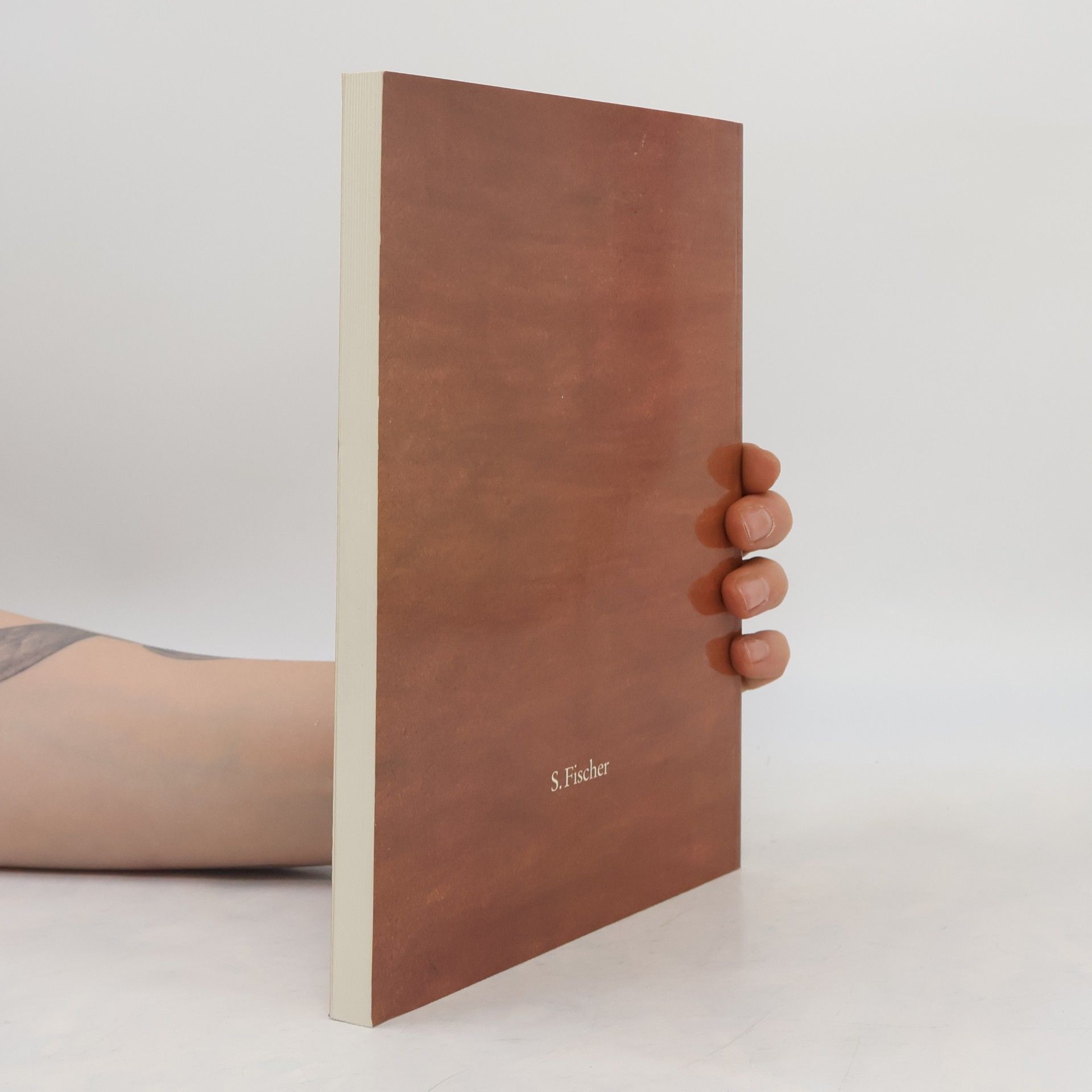 Rainer Kahsnitz Das Goldene Evangelienbuch von Echternach