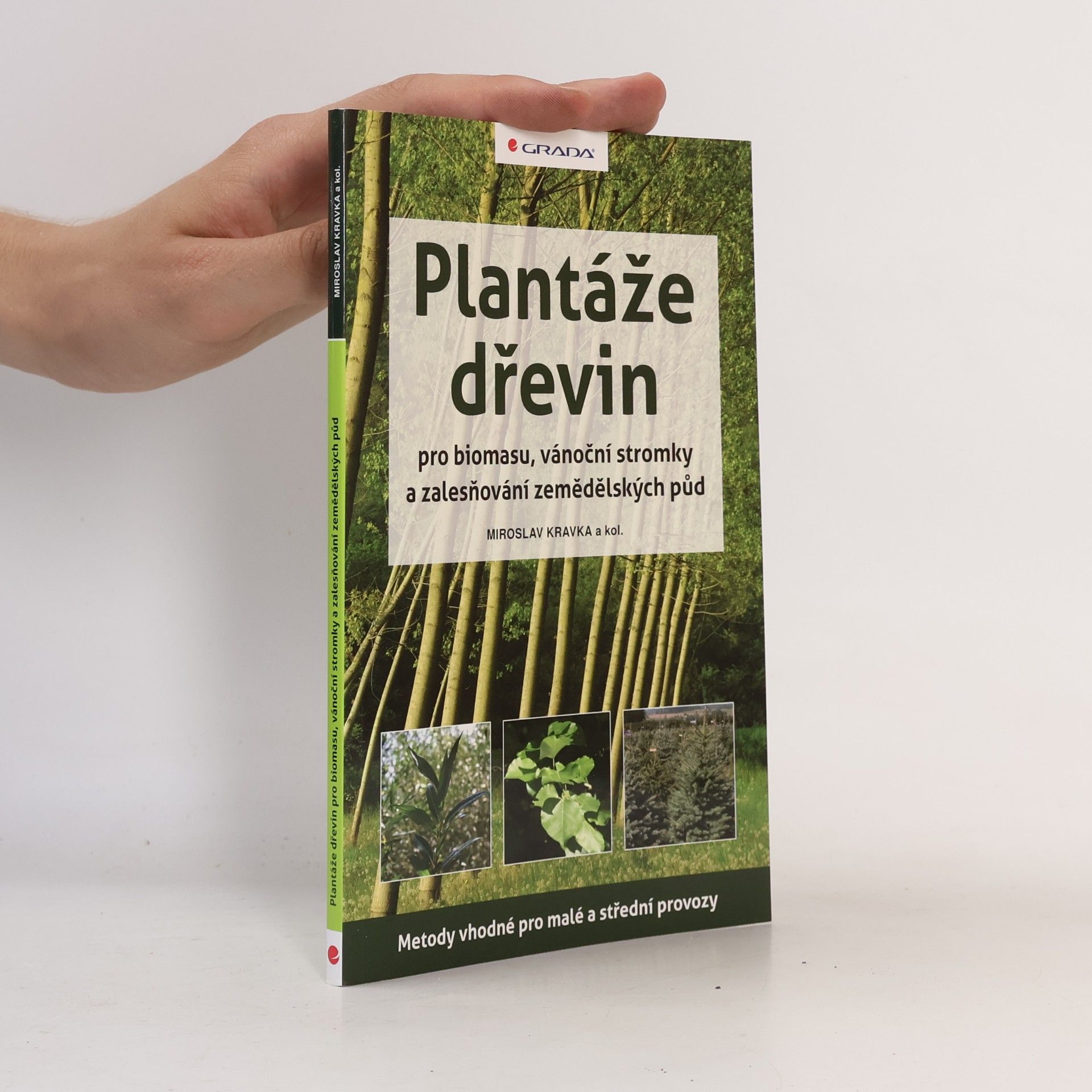 Miroslav Kravka Plantáže dřevin