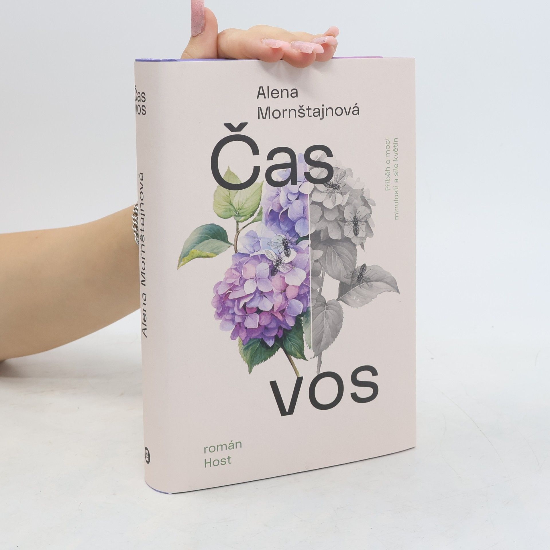 Alena Mornštajnová Čas vos