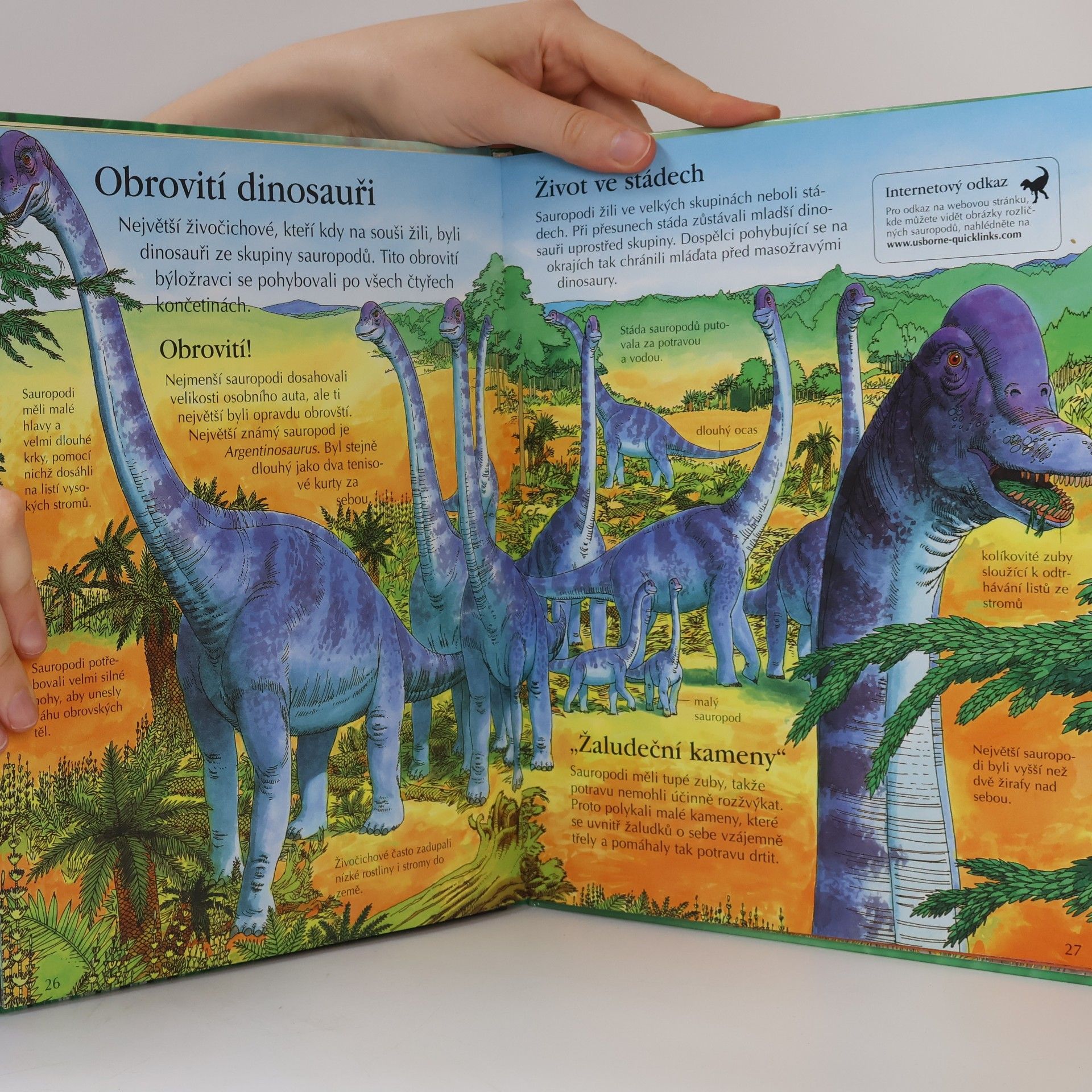 Sam Taplin Dinosauři a prehistorický život: Obrazová encyklopedie