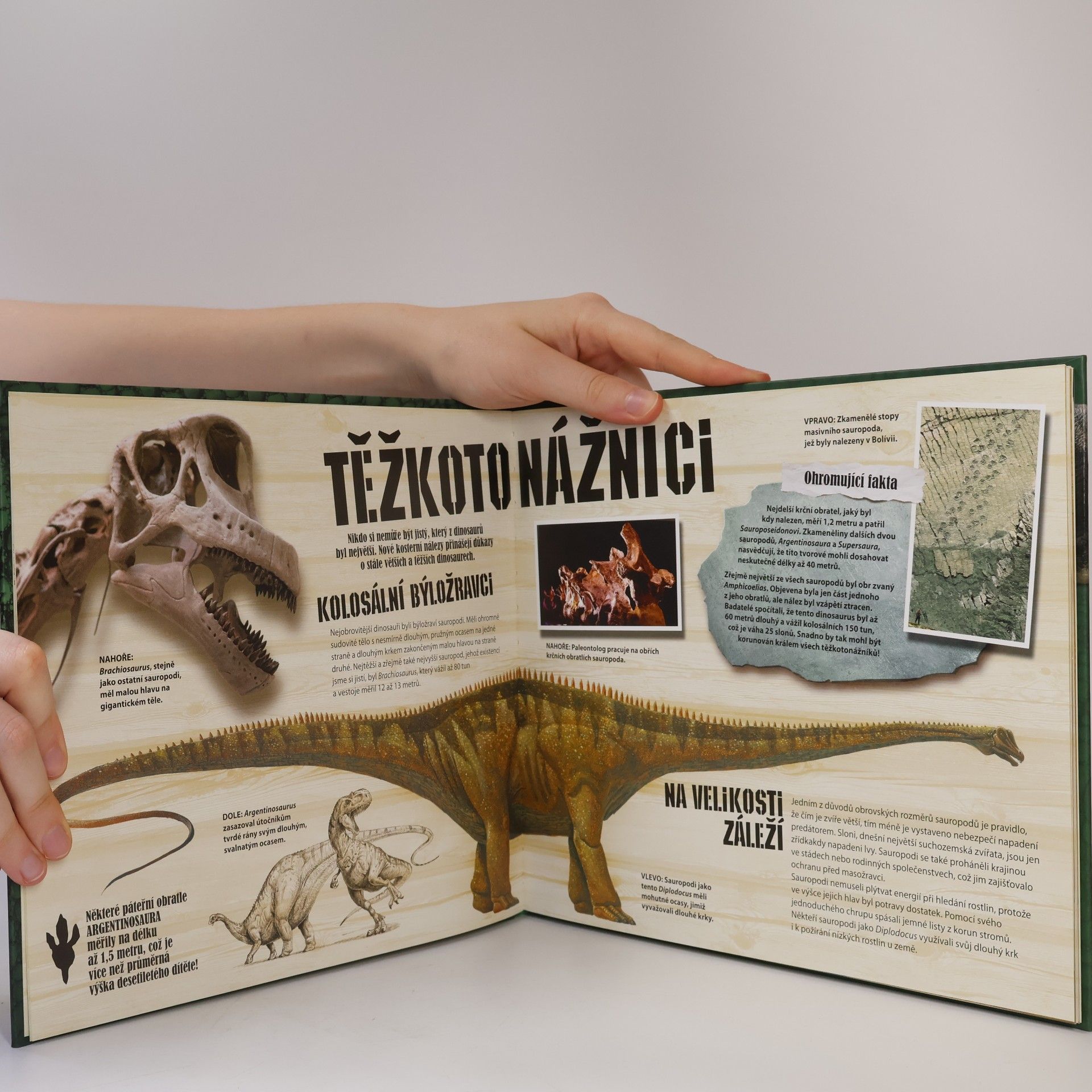 Robert Mash Dinosauři ožívají!