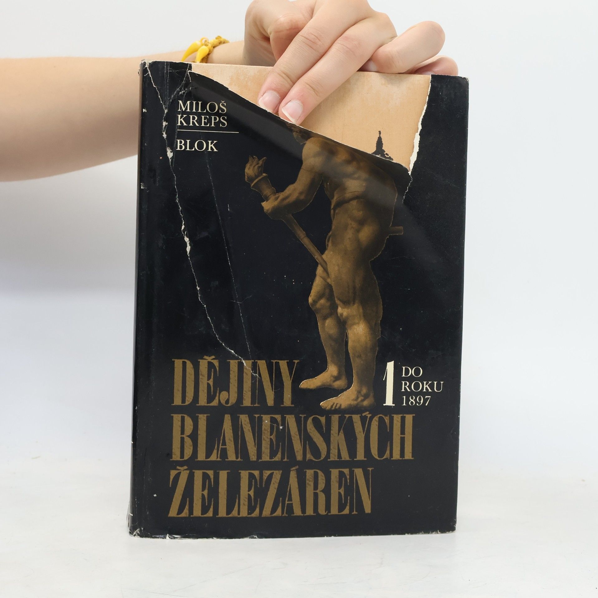 Miloš Kreps Dějiny blanenských železáren 1. (do roku 1897)