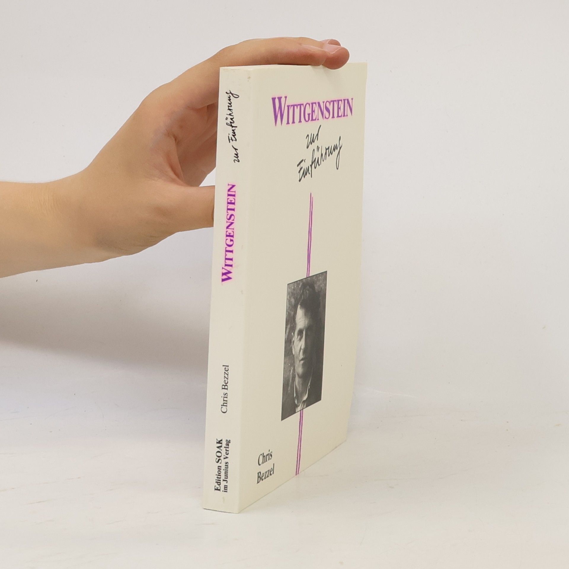 Wittgenstein zur Einführung
