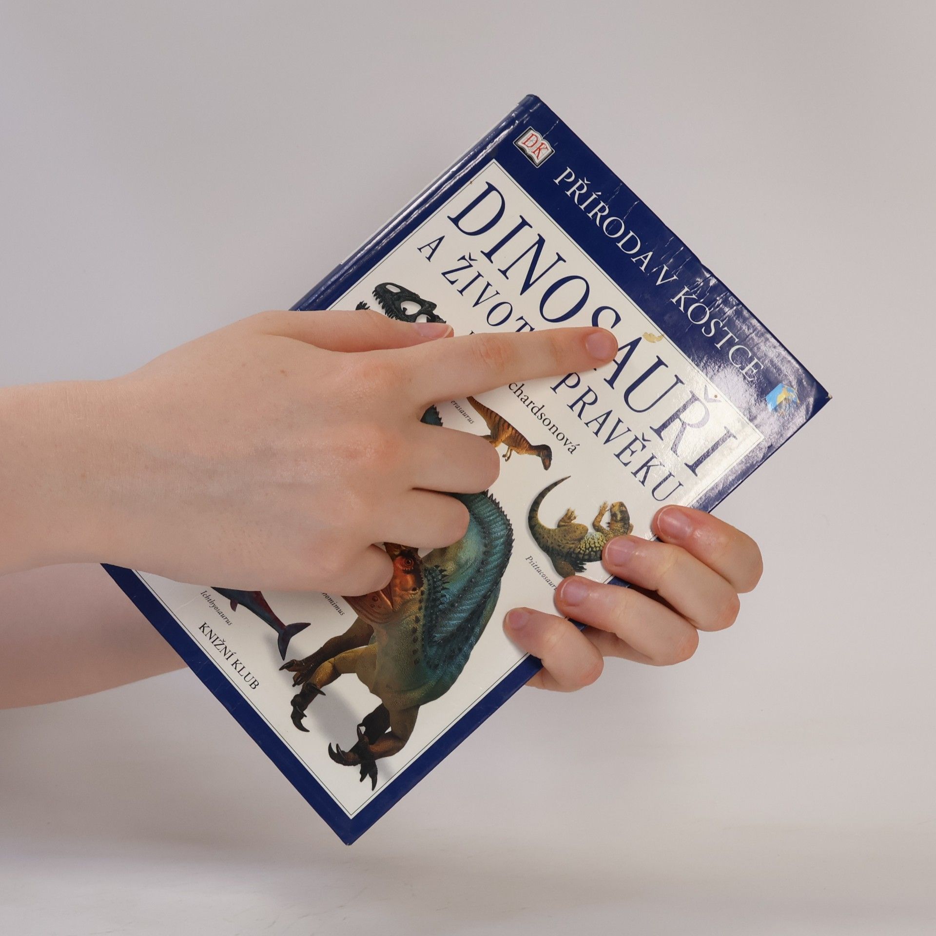 Hazel Richardson Dinosauři a život v pravěku