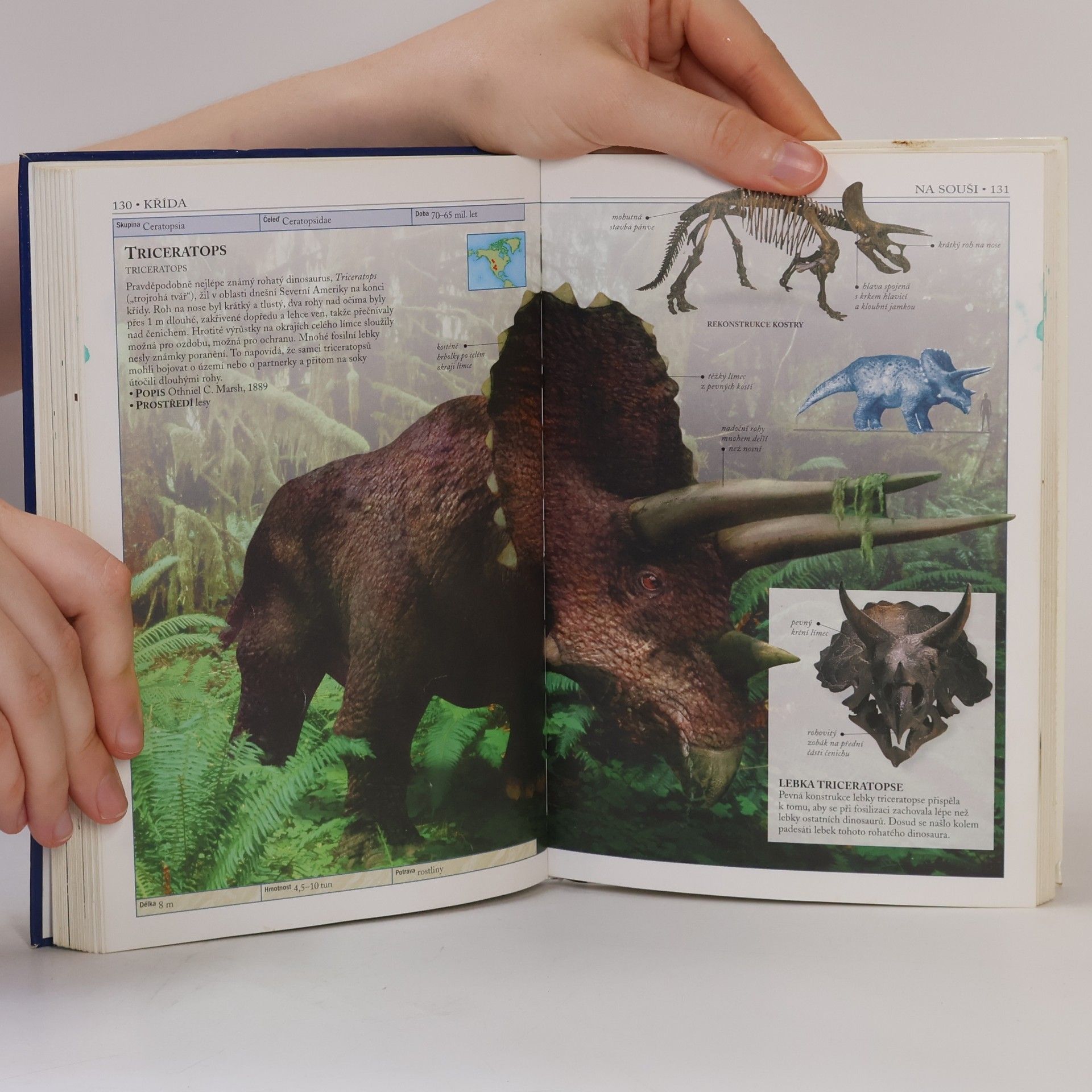 Hazel Richardson Dinosauři a život v pravěku