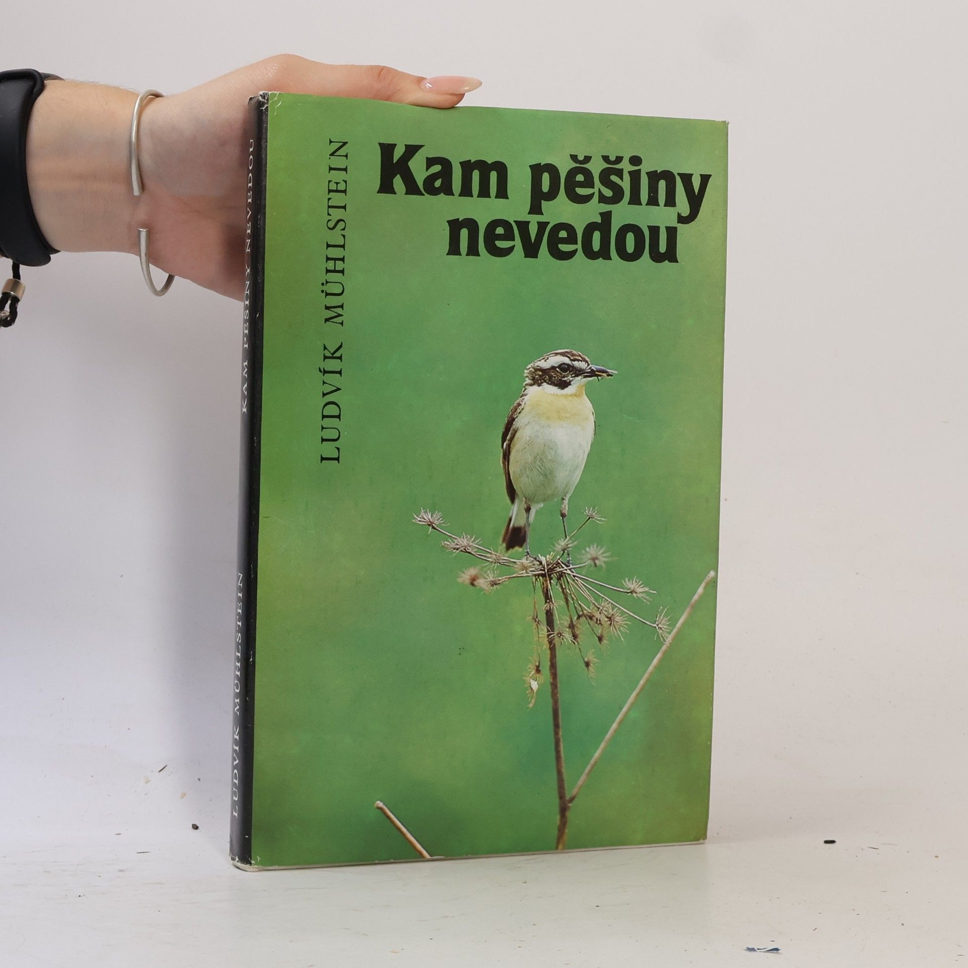 Kam pěšiny nevedou