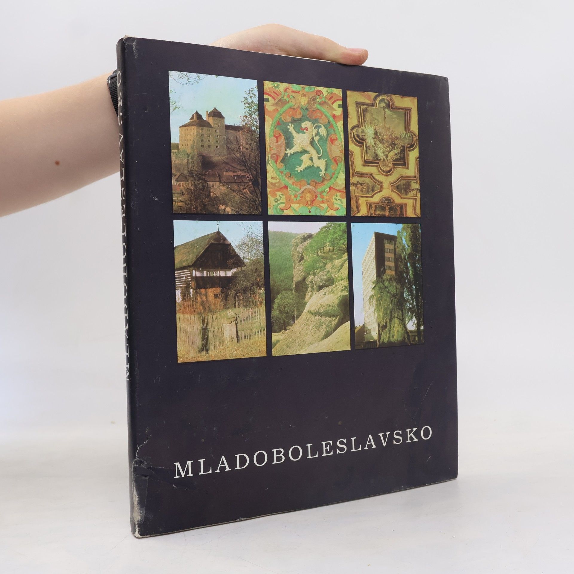 Ivan Krejzlík Mladoboleslavsko