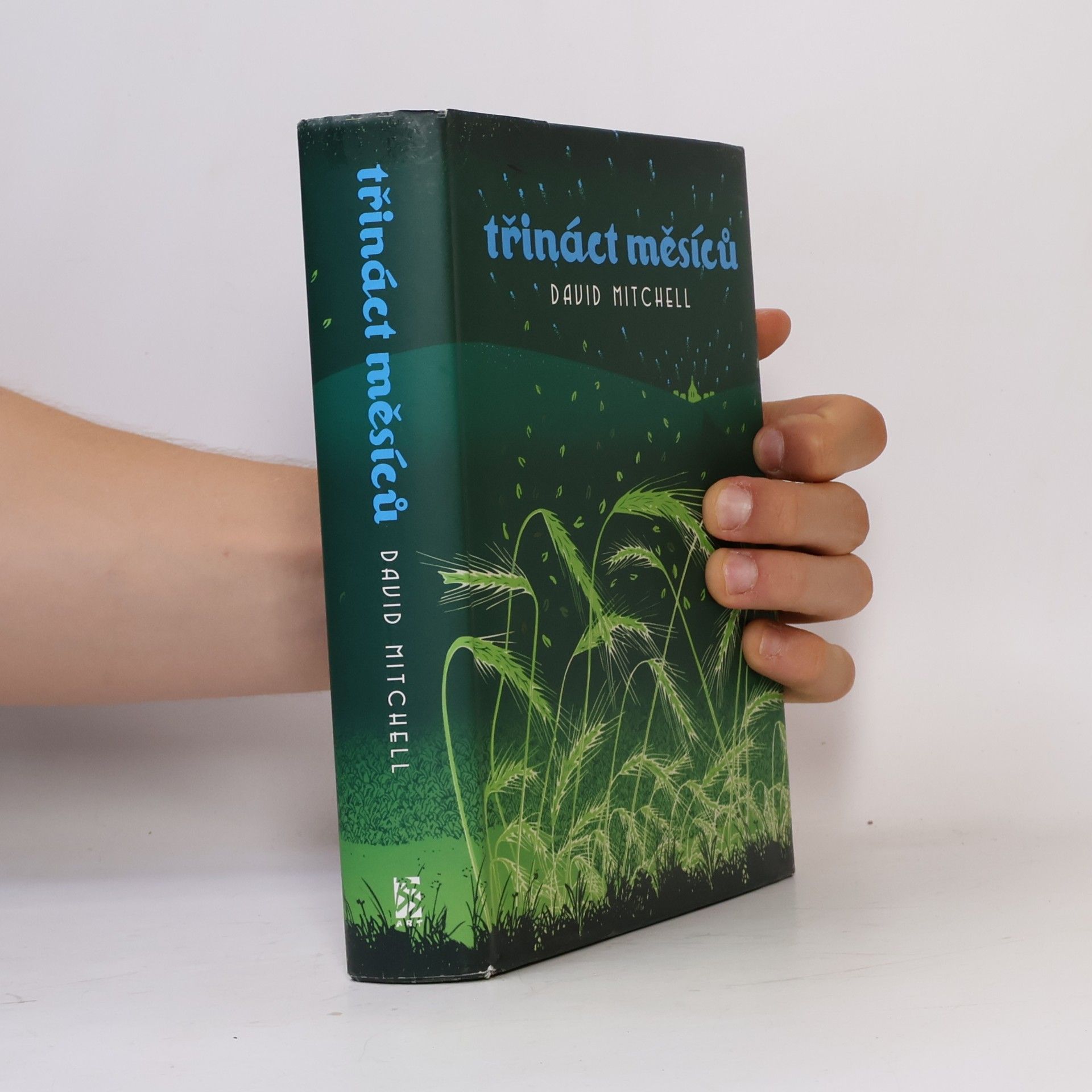 David Mitchell Třináct měsíců