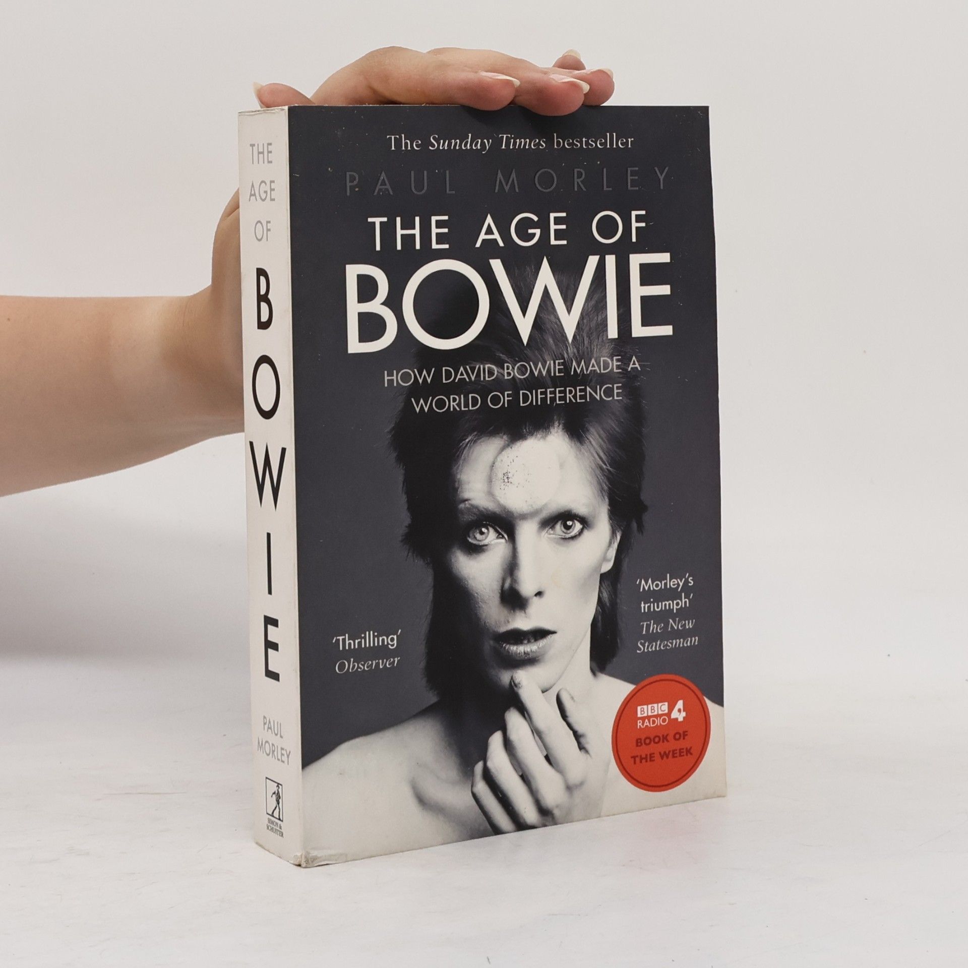 Paul Morley The Age of Bowie