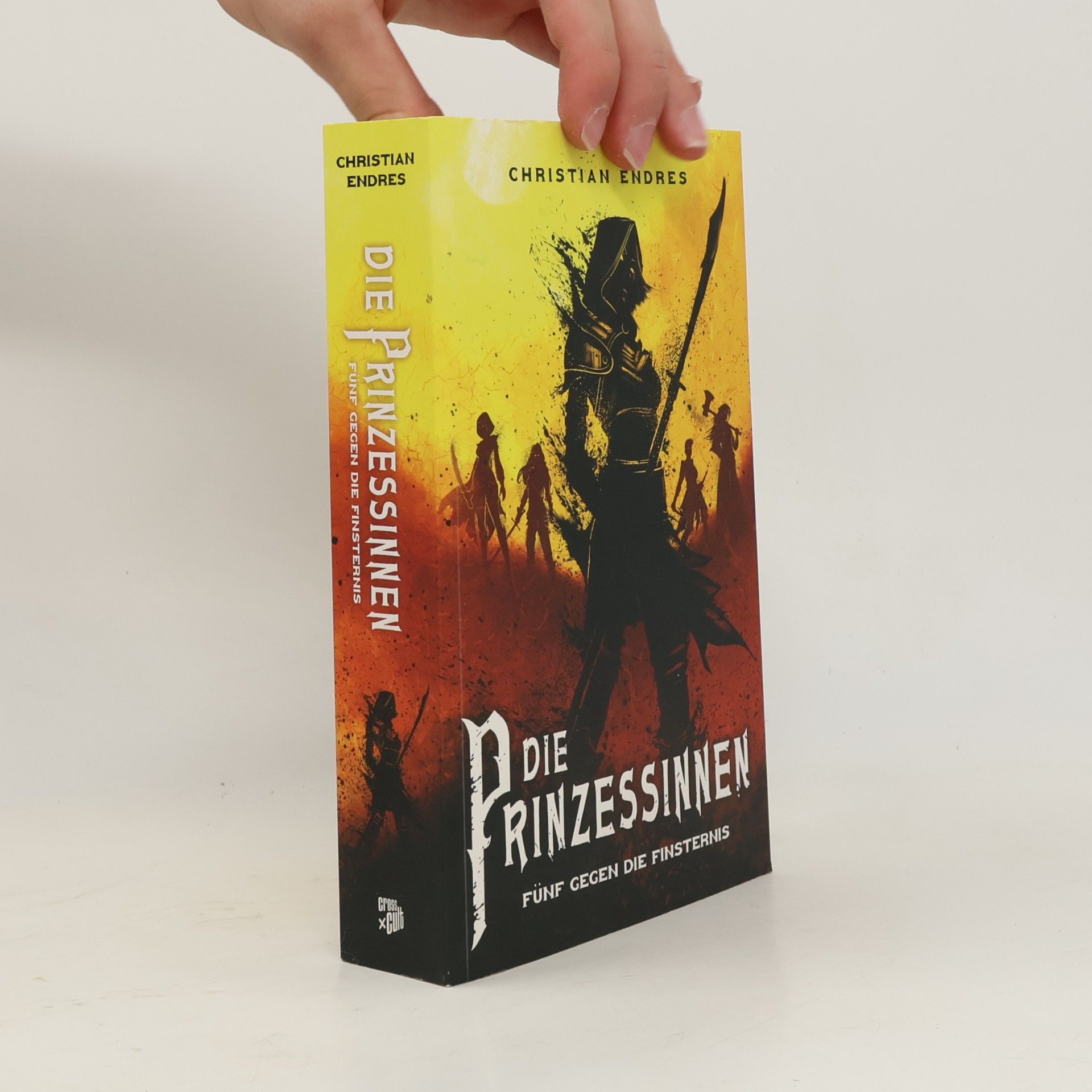 Christian Endreß Die Prinzessinnen - fünf gegen die Finsternis