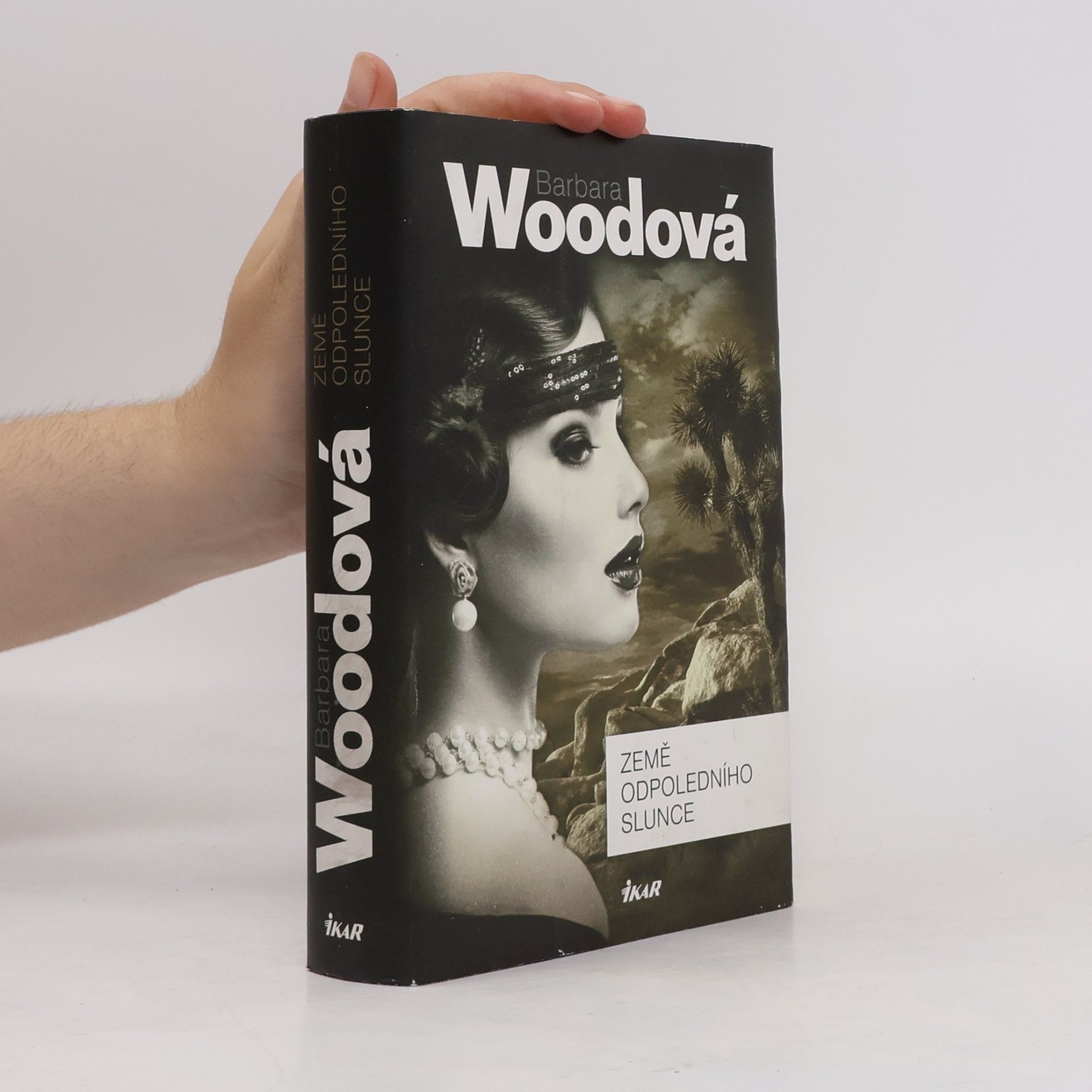 Barbara Wood Země odpoledního slunce