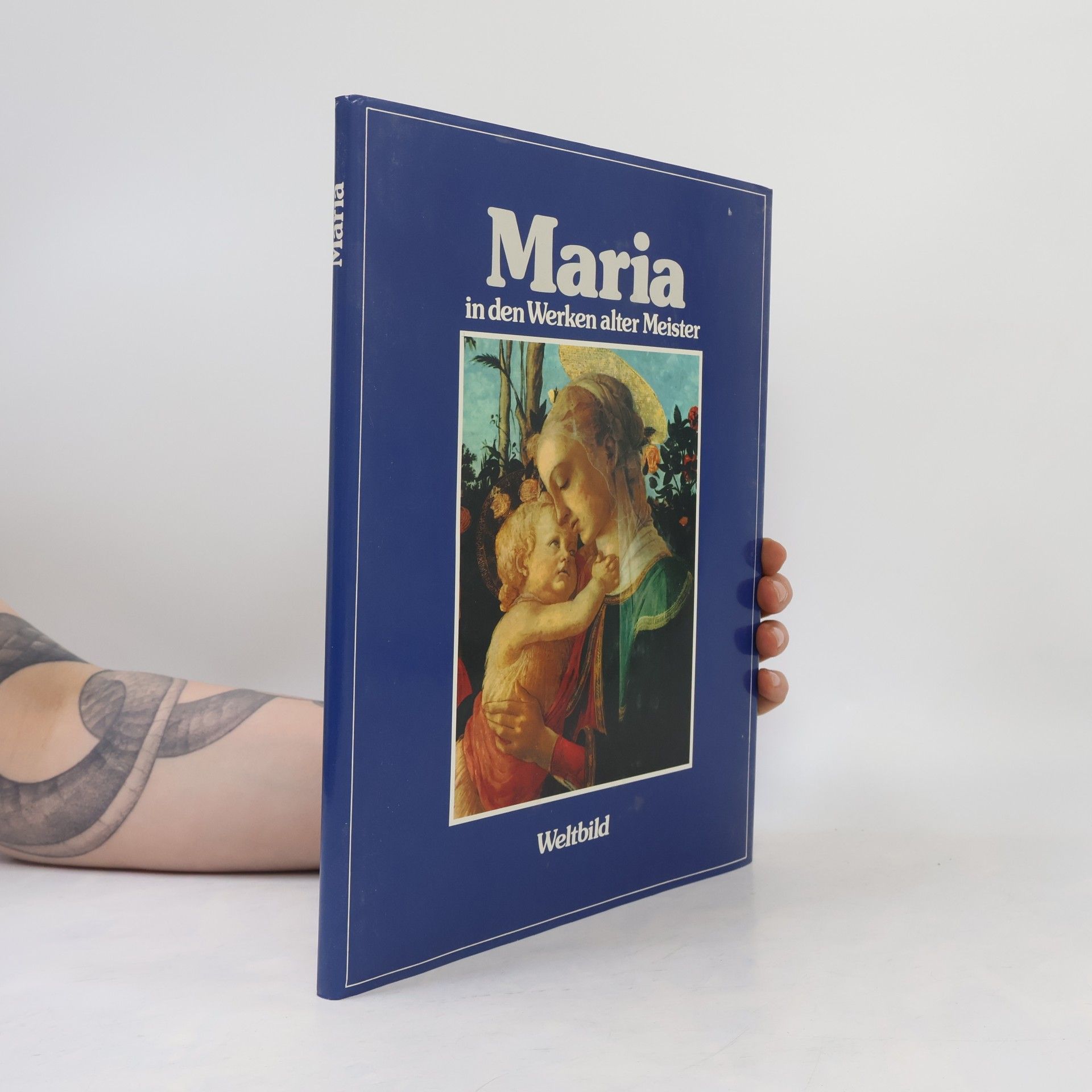 Various authors Maria in den Werken alter Meister