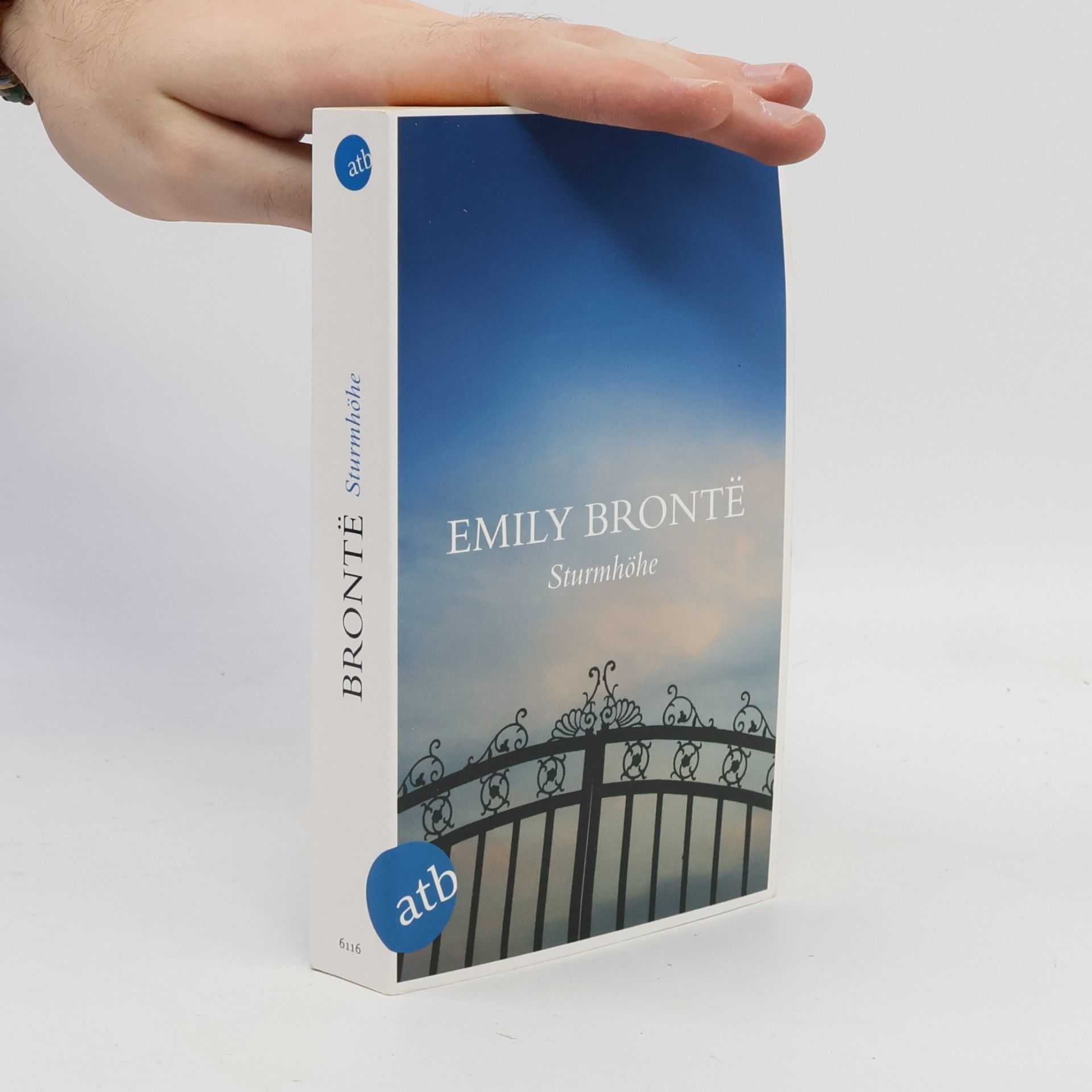 Emily Brontë Sturmhöhe