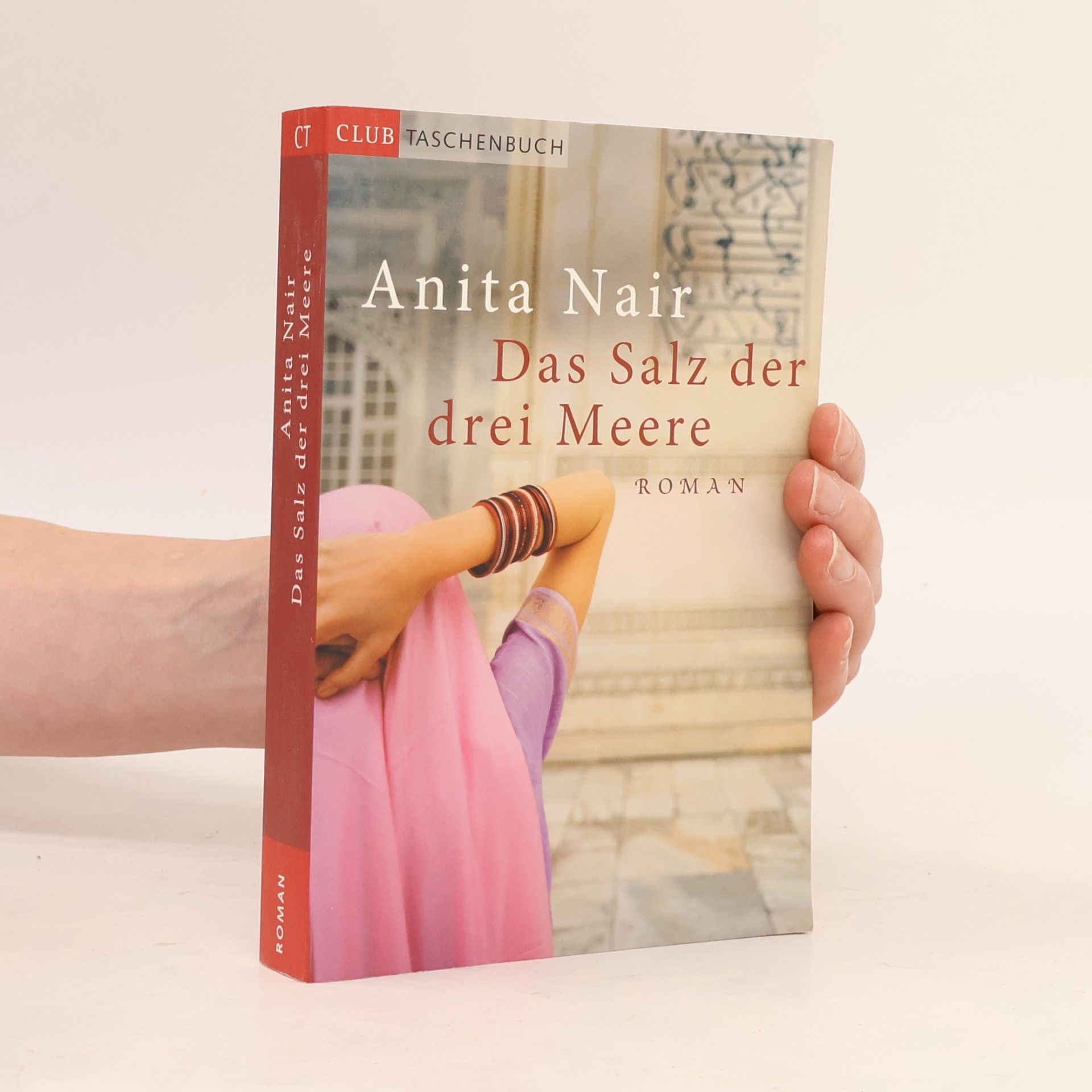 Anita Nair Das Salz der drei Meere