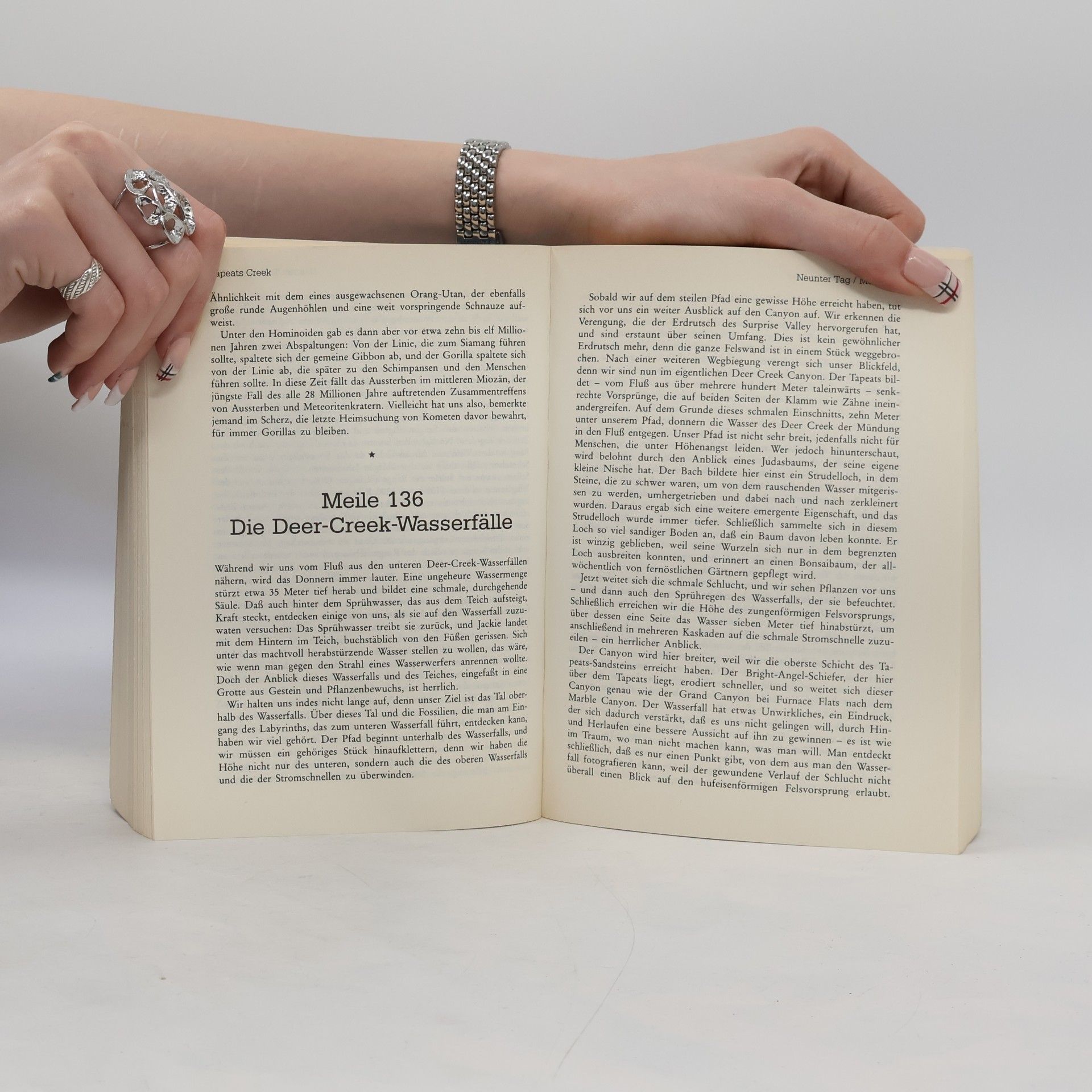 William H. Calvin Der Strom, der bergauf fliesst