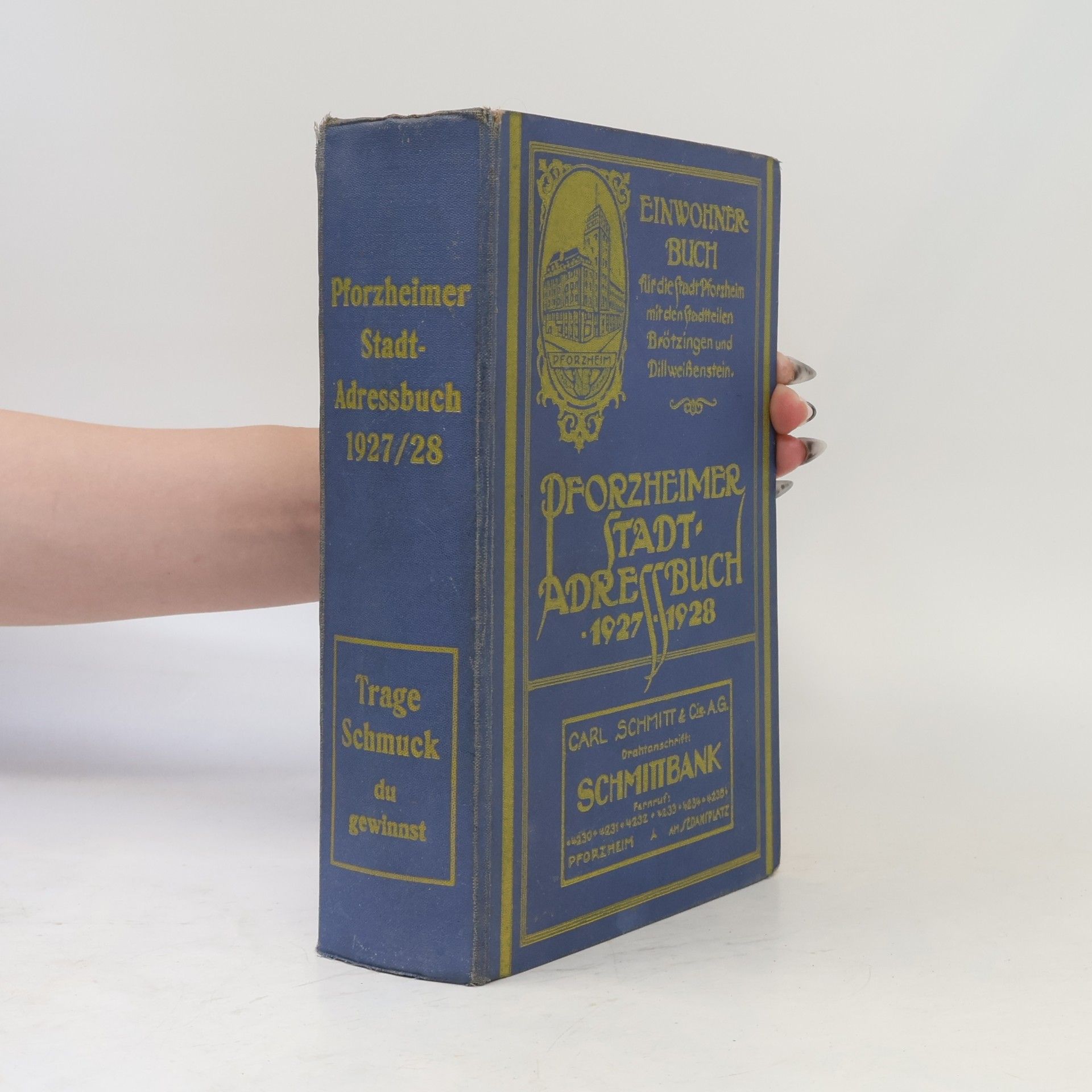 Kolektiv autorů Pforzheimer Stadtadressbuch 1927/28