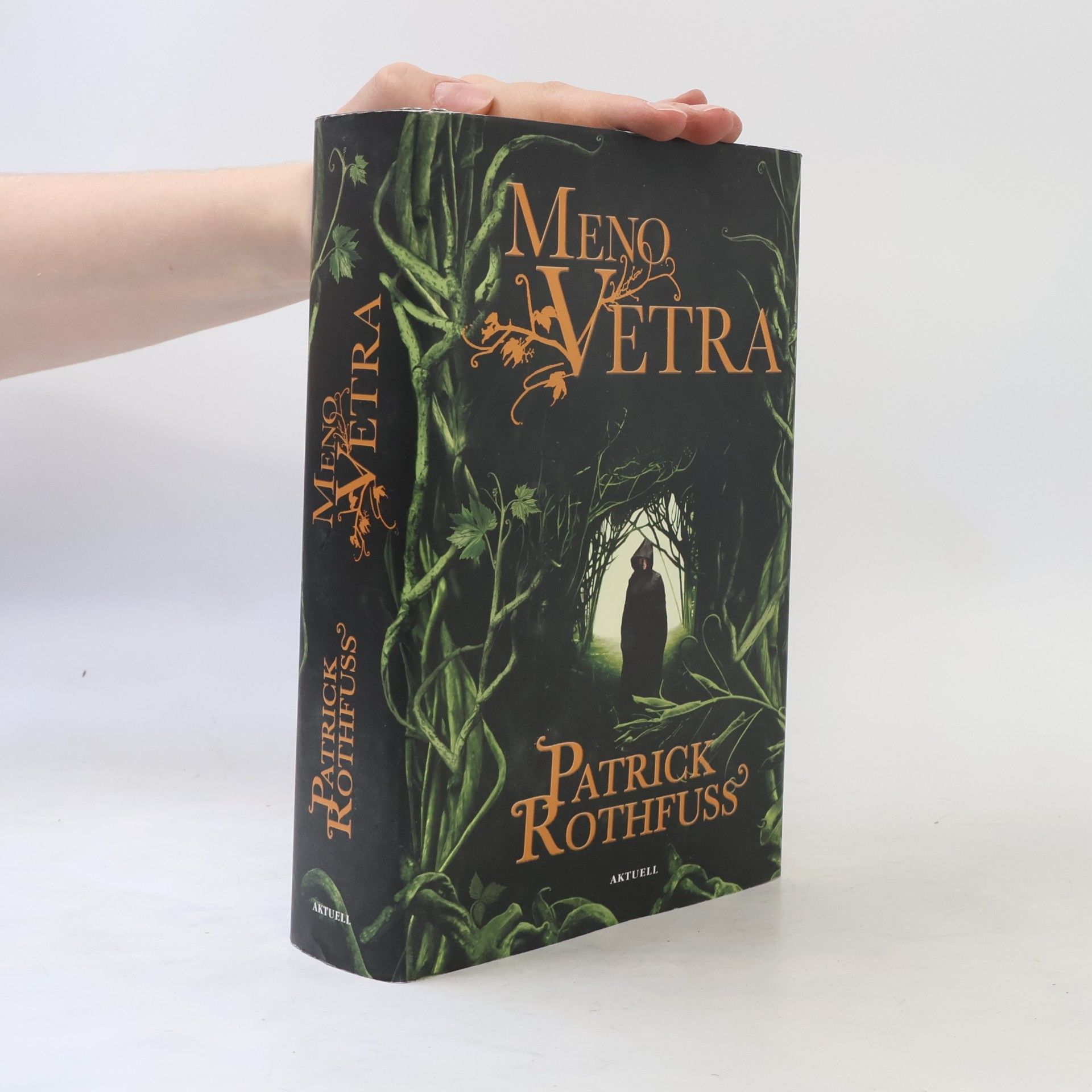 Patrick Rothfuss Meno vetra