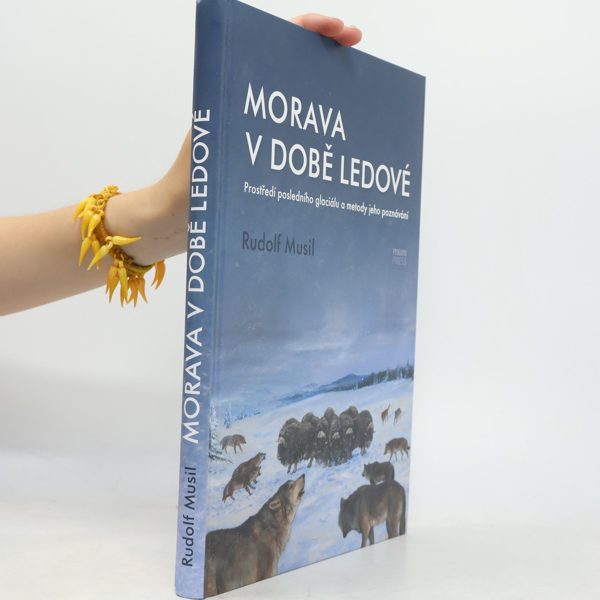 Rudolf Musil Morava v době ledové