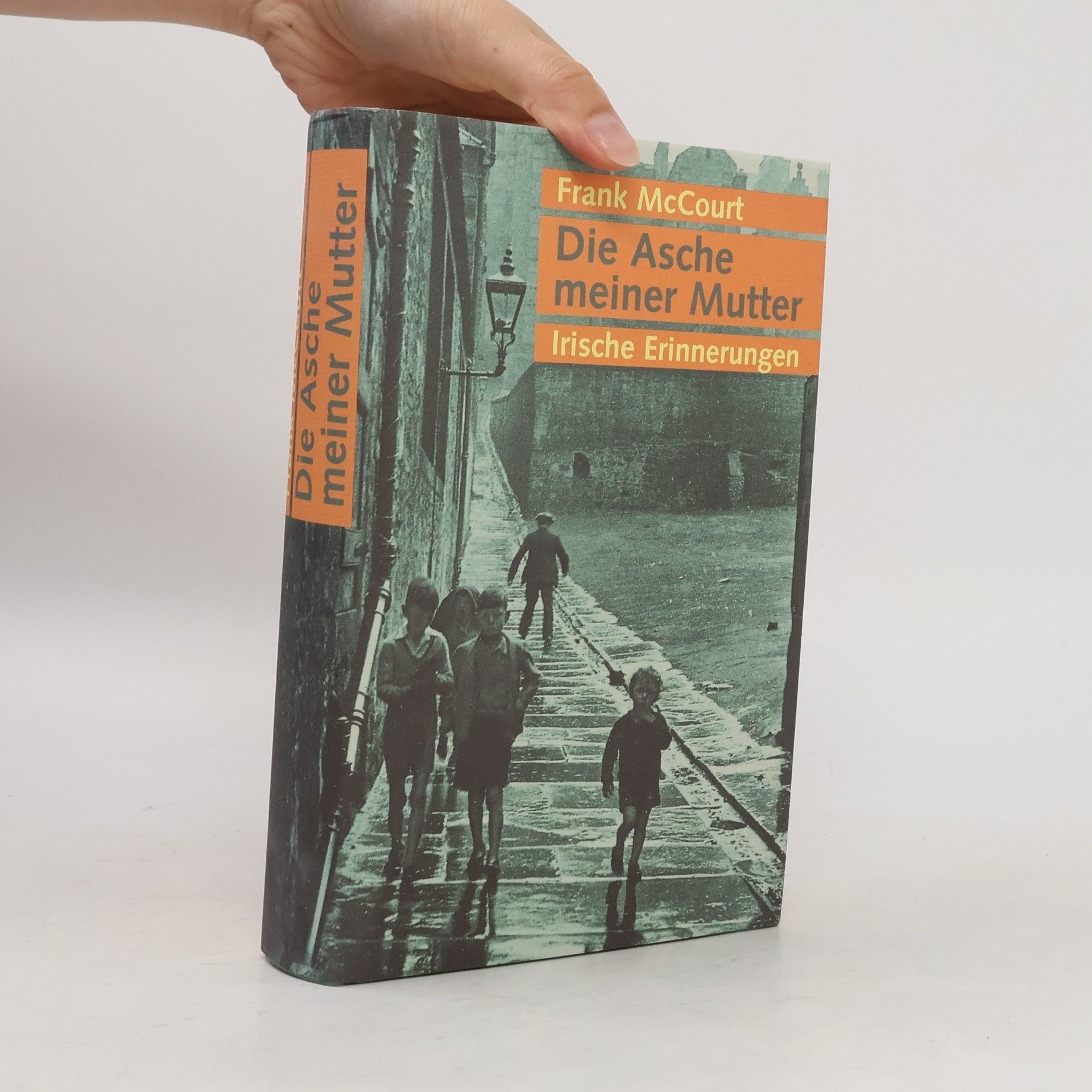 Frank McCourt Die Asche meiner Mutter