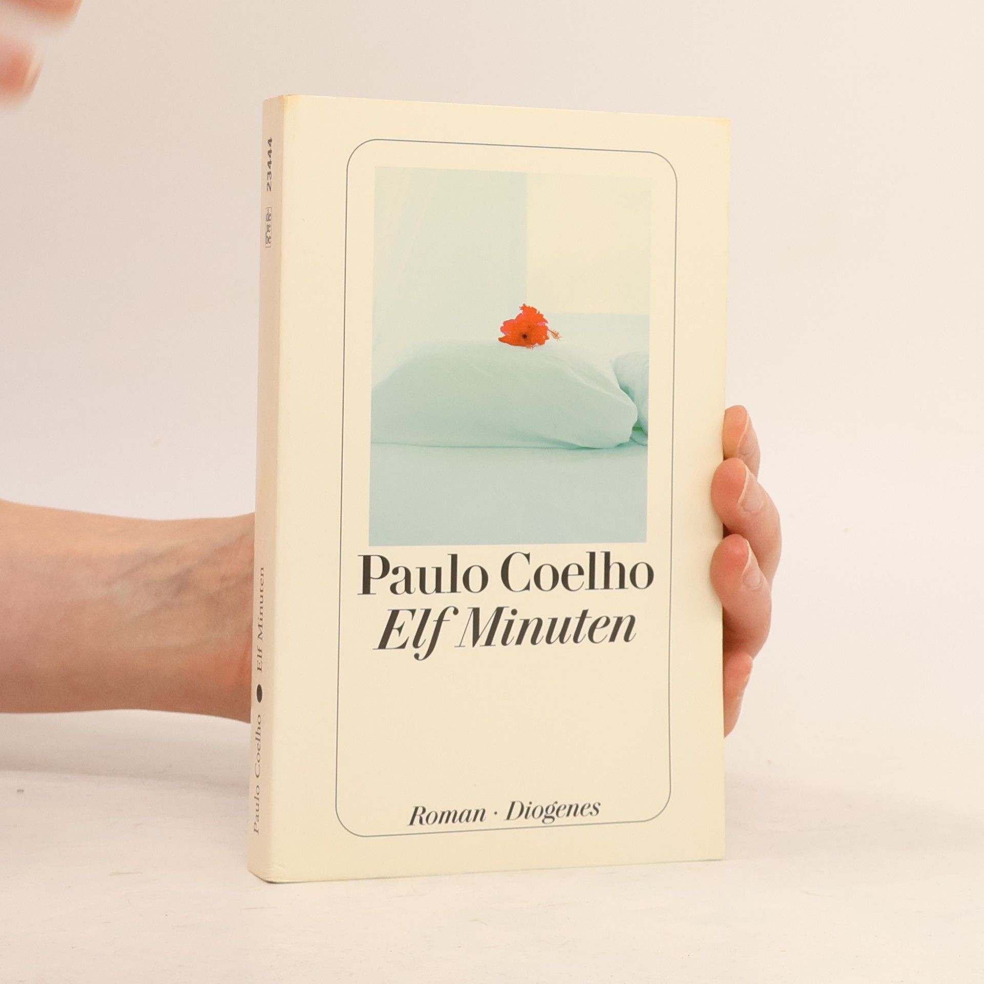 Paulo Coelho Elf Minuten