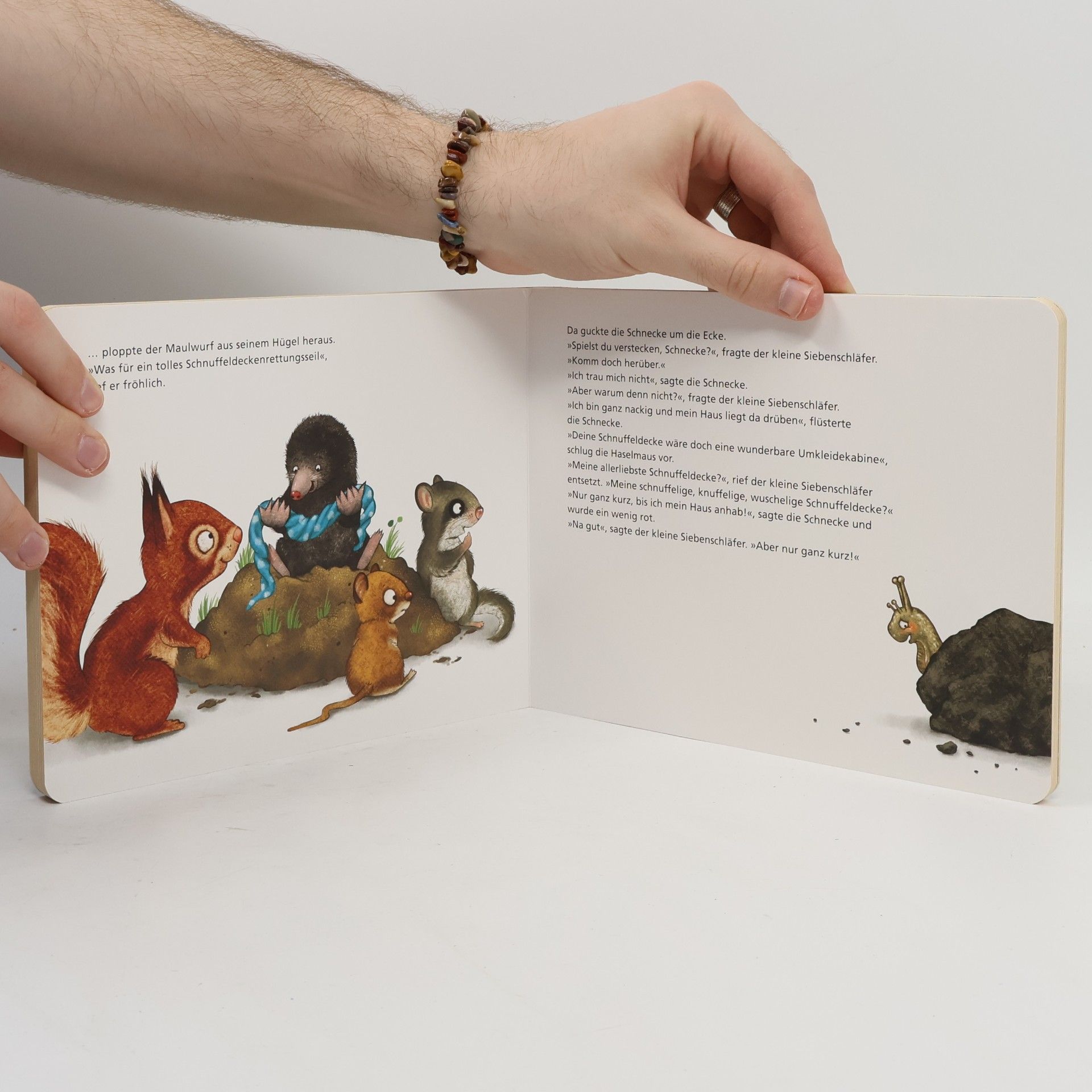 Sabine Bohlmann Die Geschichte vom kleinen Siebenschläfer, der seine Schnuffeldecke nicht hergeben wollte / Der kleine Siebenschläfer Bd.3