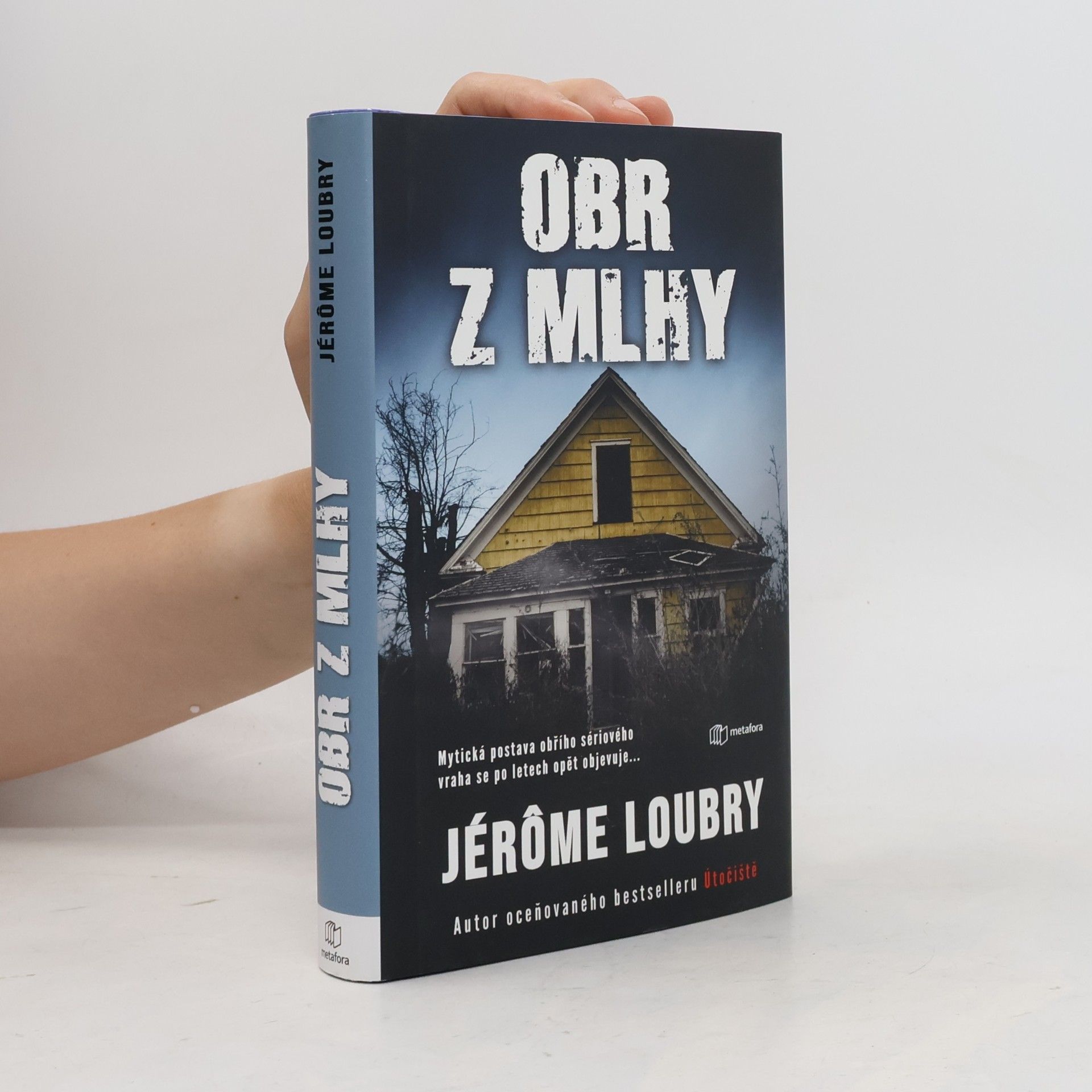 Jérôme Loubry Obr z mlhy