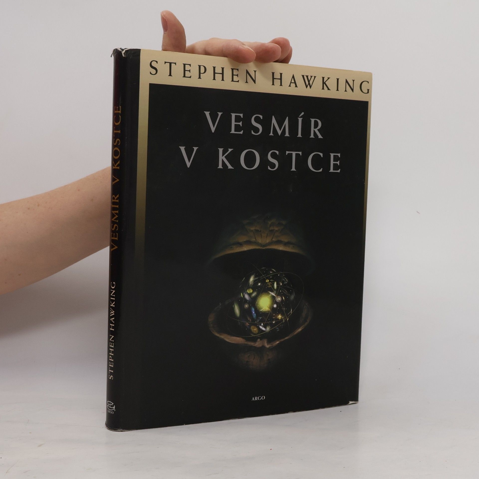 Stephen Hawking Vesmír v kostce