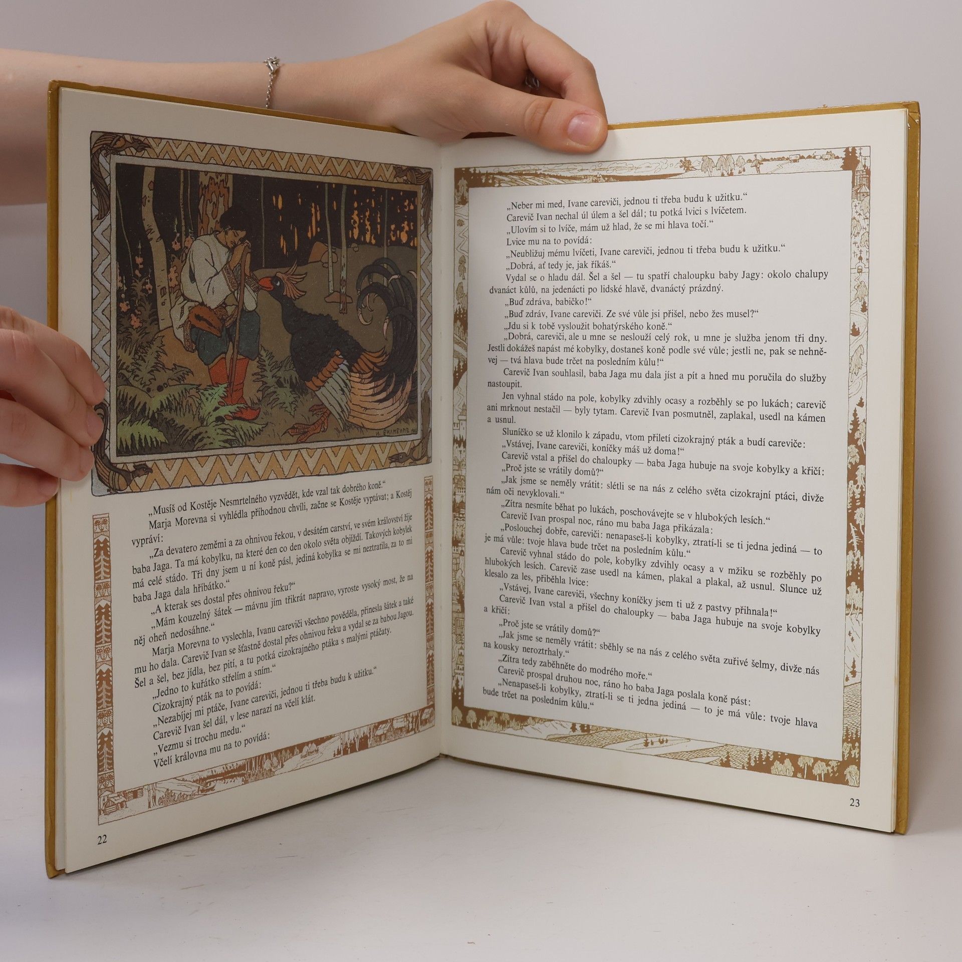 Autorenkollektiv Peříčko Finista Jasného sokola