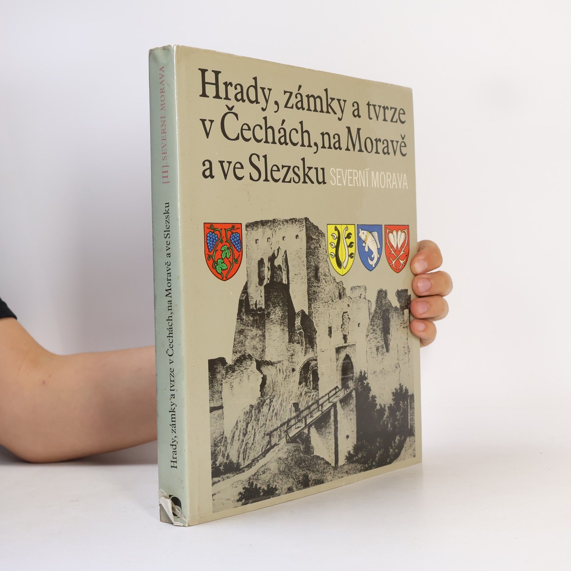 Autorenkollektiv Hrady, zámky a tvrze v Čechách, na Moravě a ve Slezsku II. Severní Morava