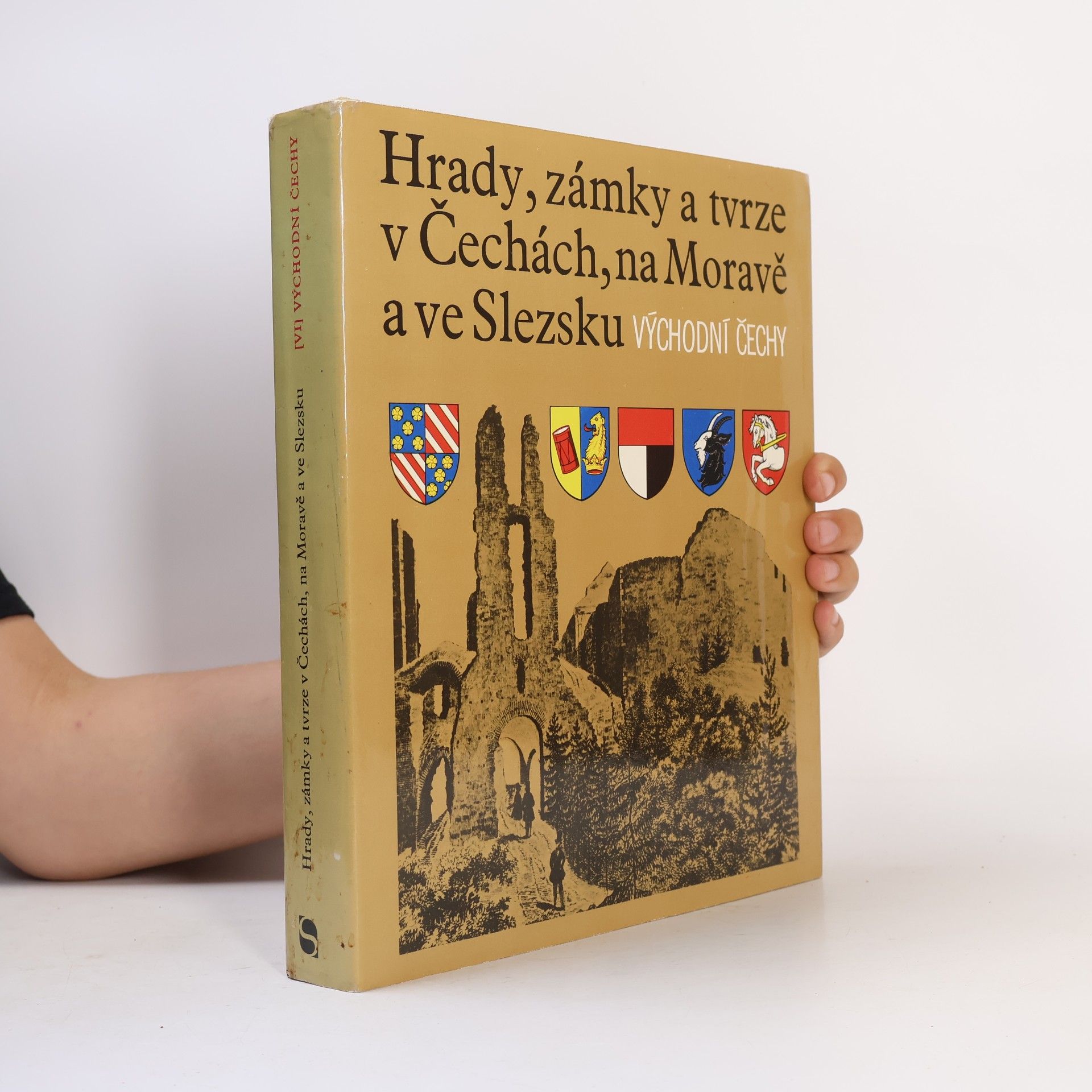 Autorenkollektiv Hrady, zámky a tvrze v Čechách na Moravě a ve Slezsku VI. Východní Čechy