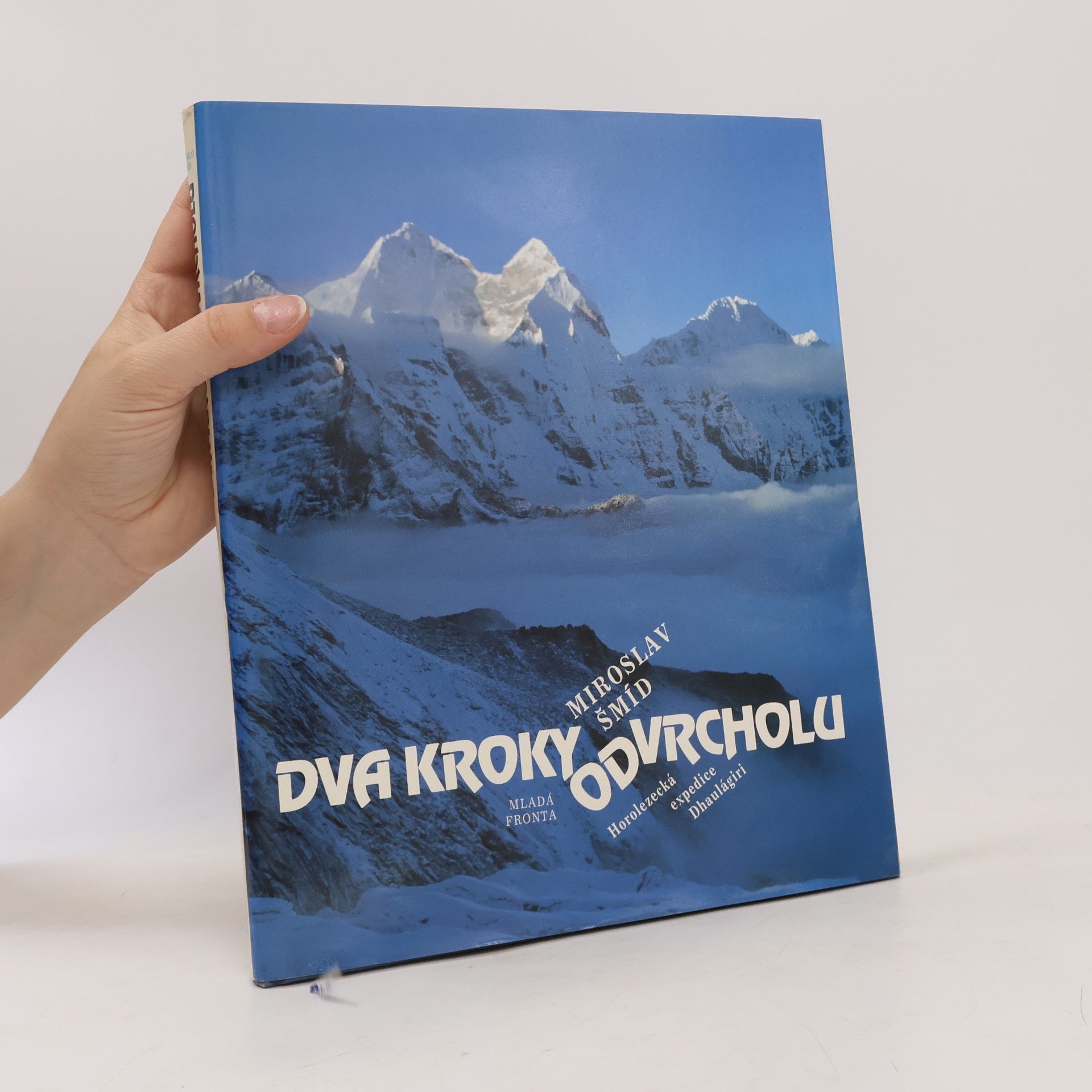 Miroslav Šmíd Dva kroky od vrcholu