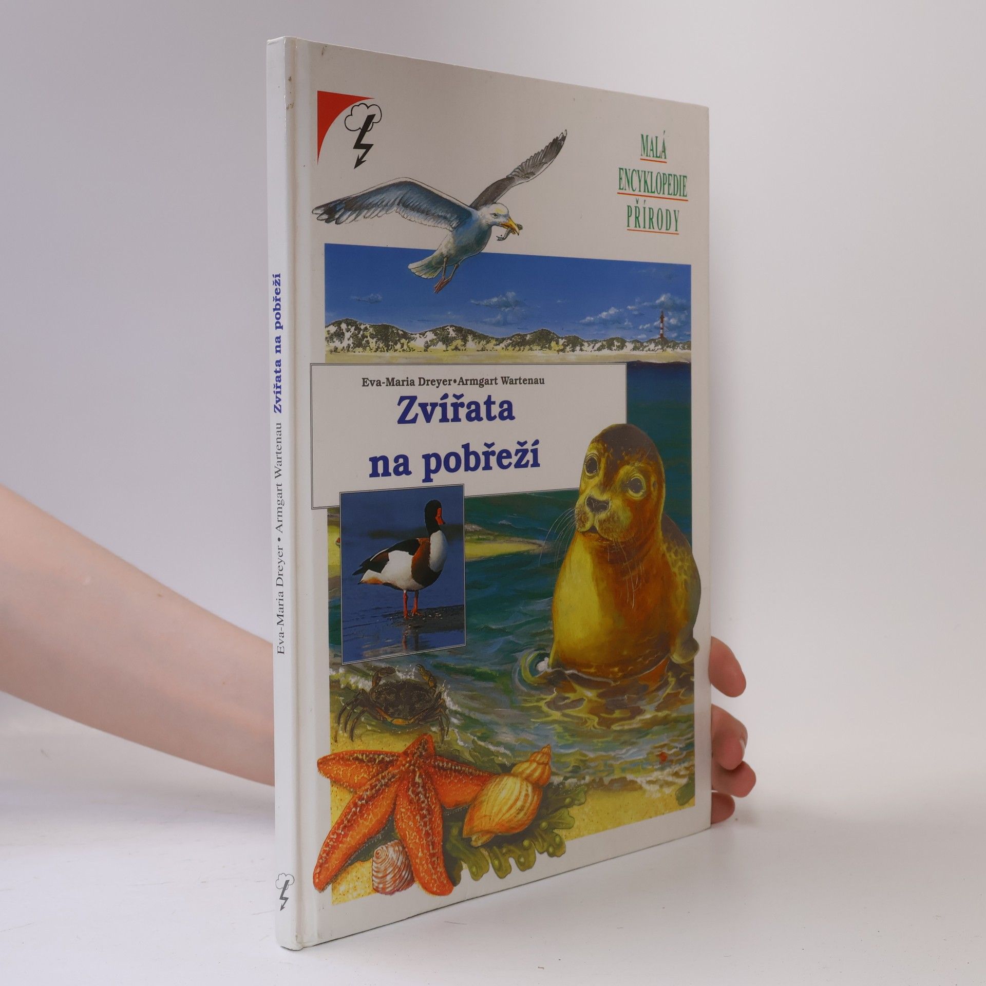 Eva-Maria Dreyer Zvířata na pobřeží