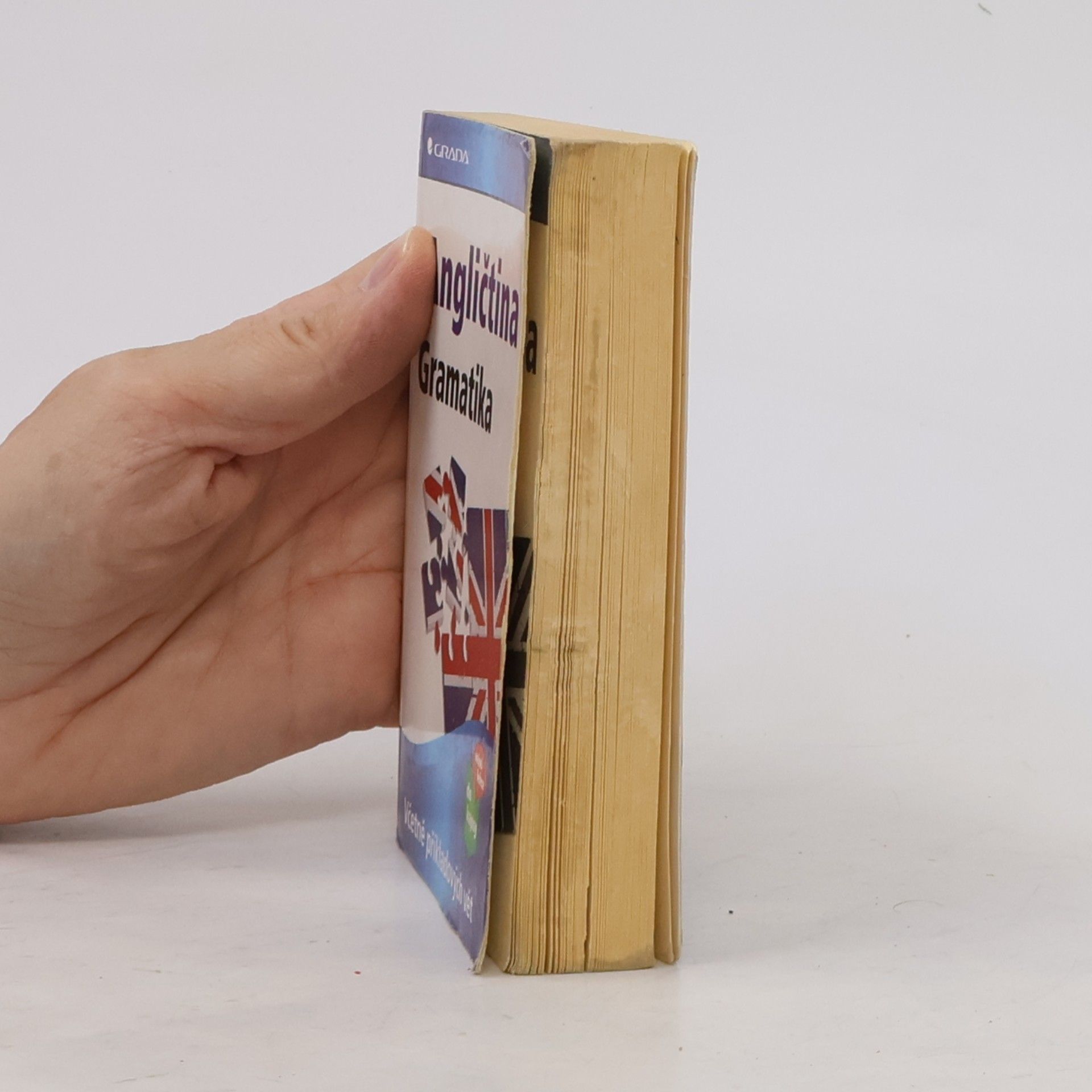 Autorenkollektiv Angličtina - gramatika včetně příkladových vět