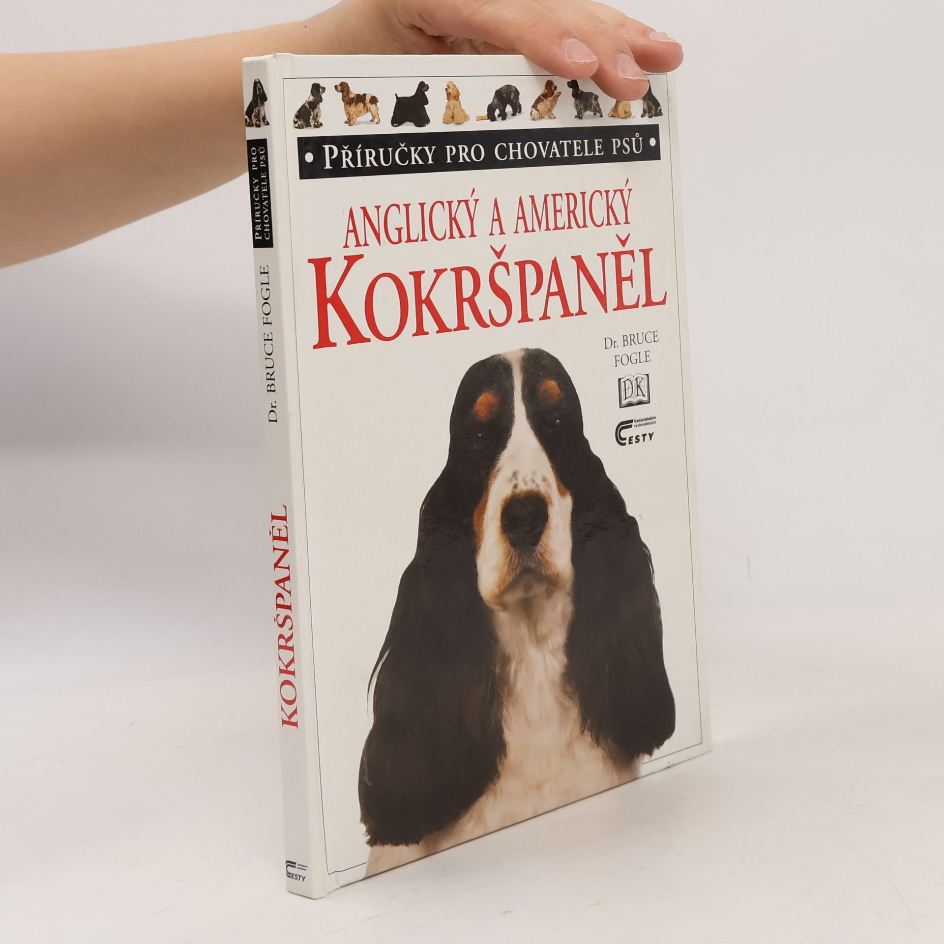 Bruce Folge Anglický a americký kokršpaněl